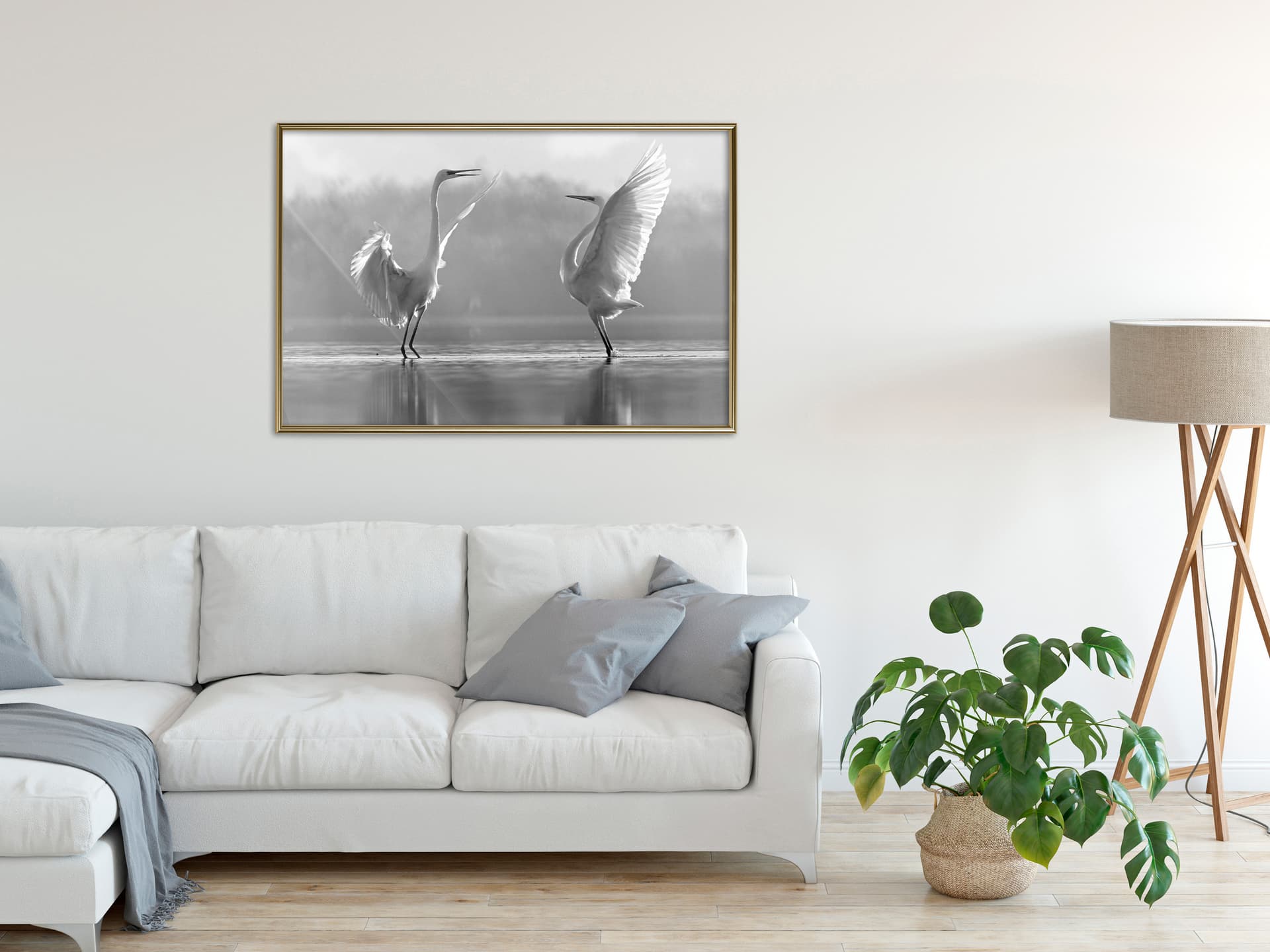 

Plakat - Czarno-białe czaple (rozmiar 45x30, wykończenie Rama złota)