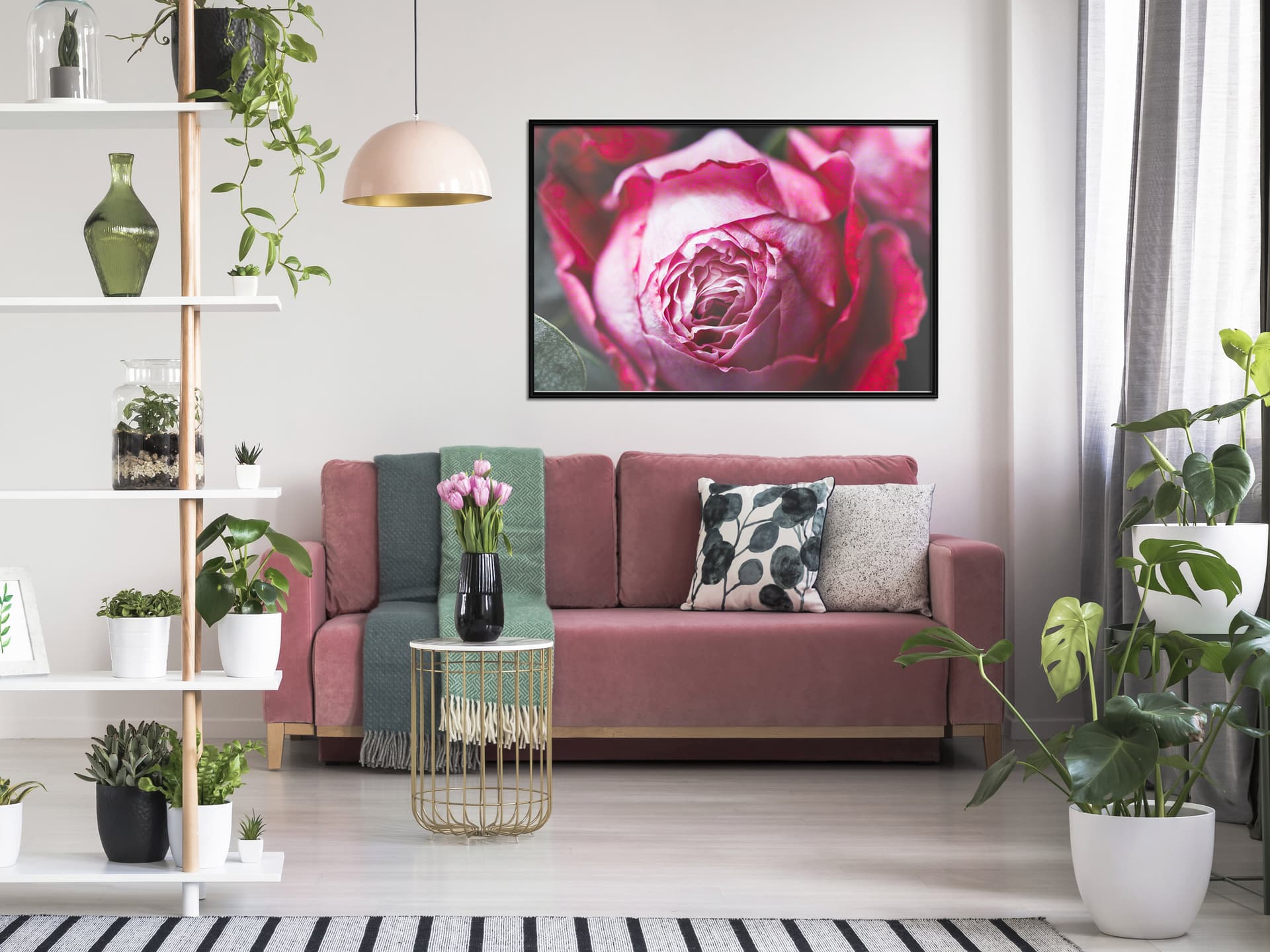 

Plakat - Rozkwitająca róża (rozmiar 90x60, wykończenie Rama czarna)