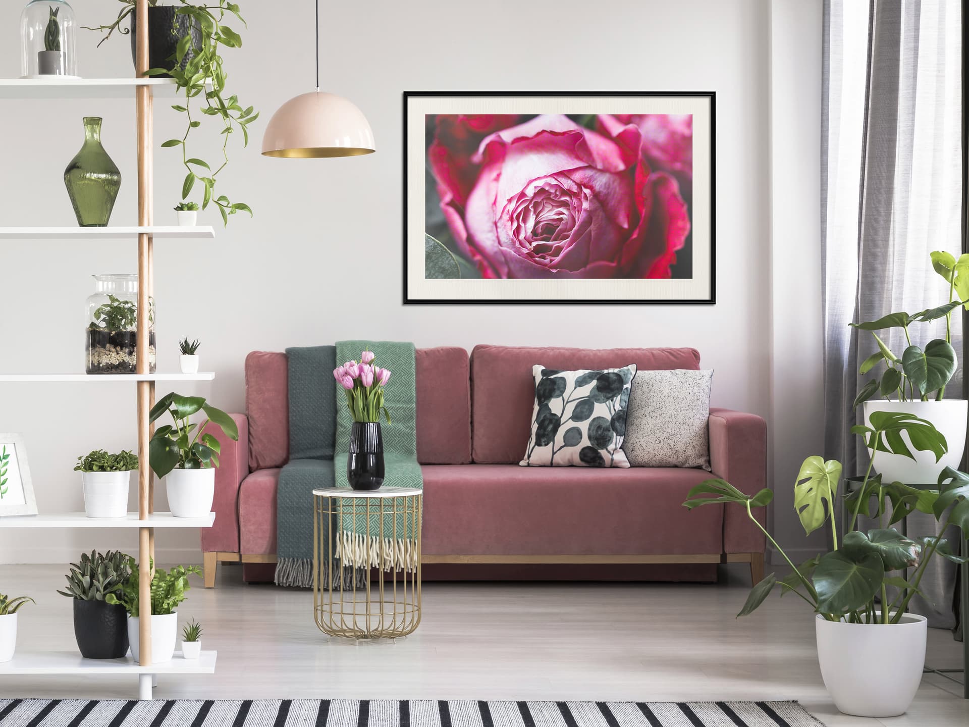 

Plakat - Rozkwitająca róża (rozmiar 90x60, wykończenie Rama czarna z passe-partout)
