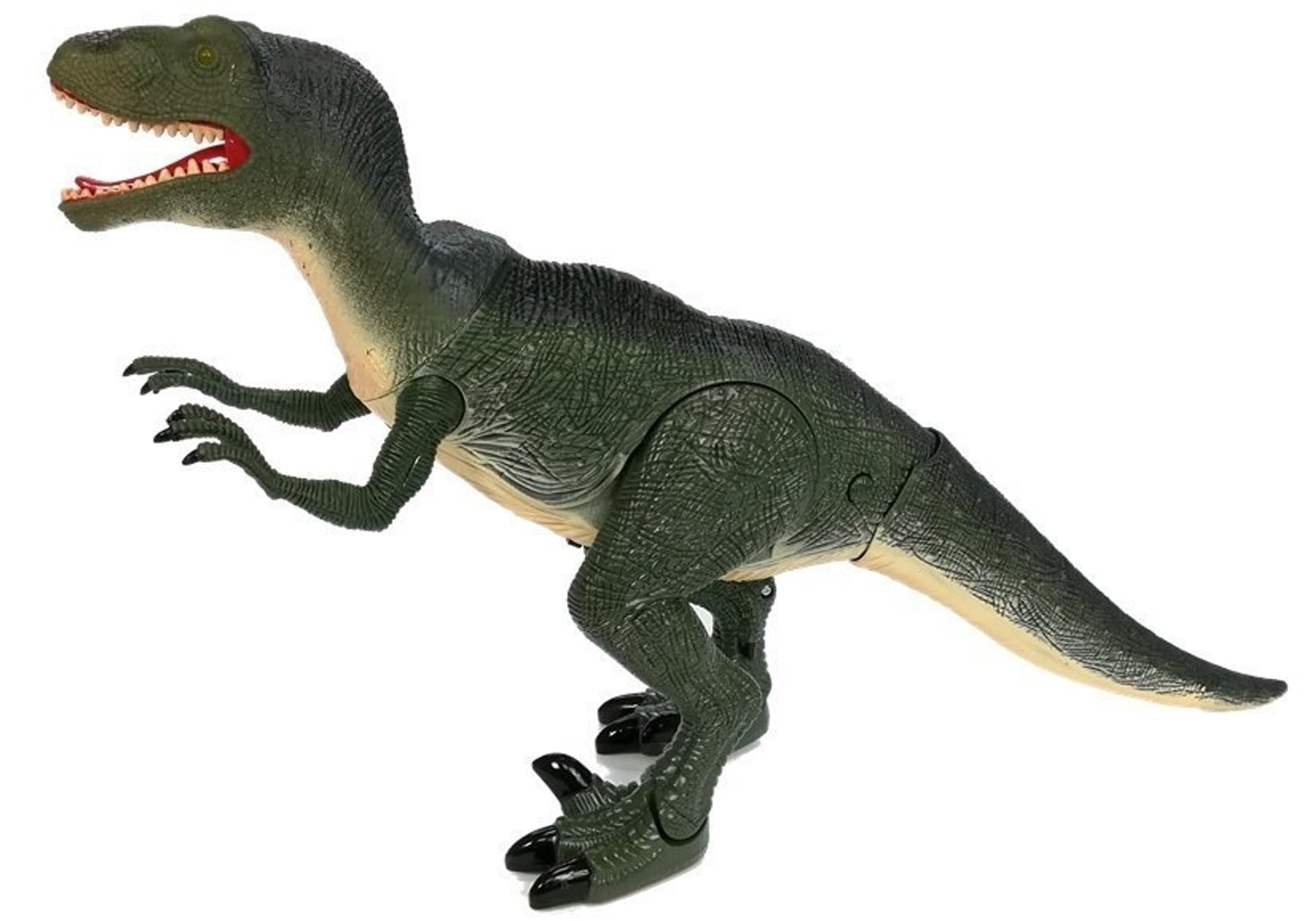 

Dinozaur Velociraptor Porusza się Ryczy Świeci