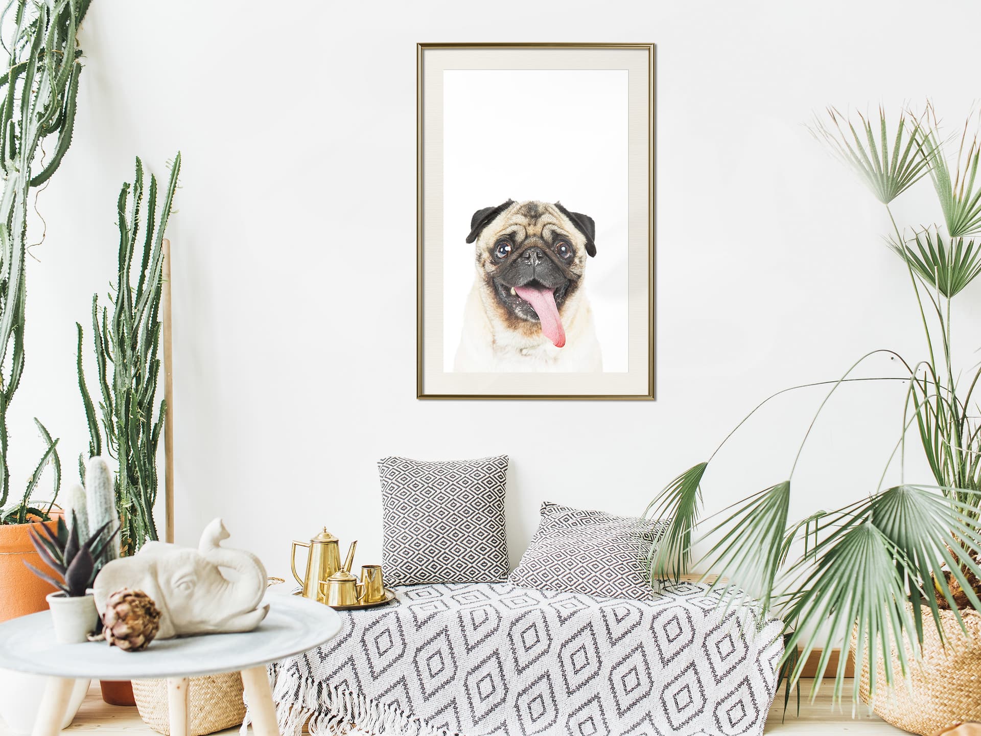 

Plakat - Śmieszny mops (rozmiar 40x60, wykończenie Rama złota z passe-partout)