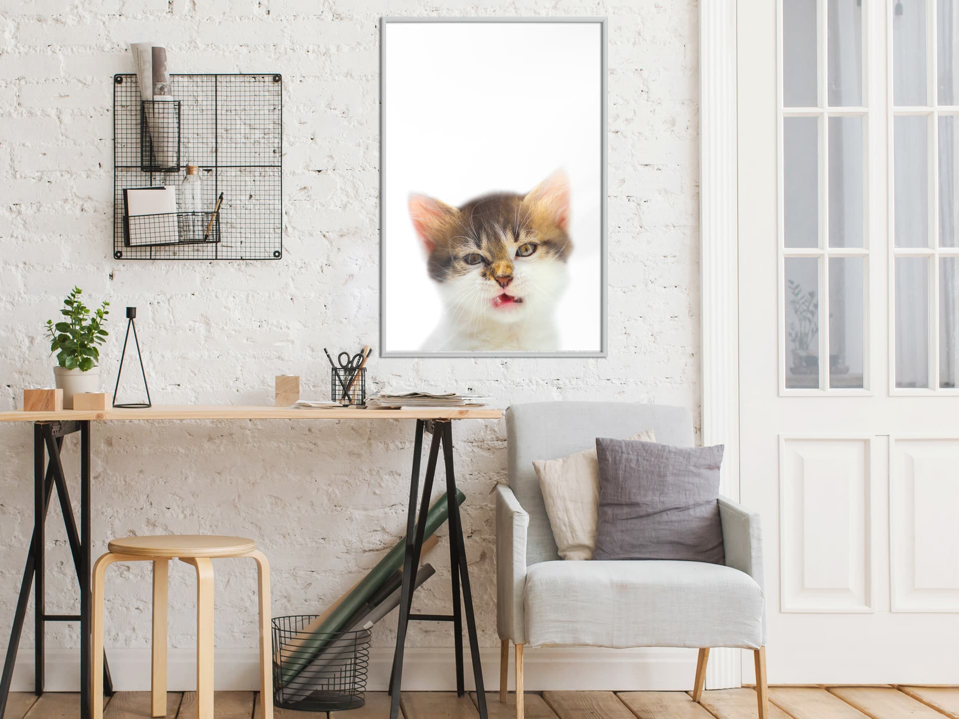 

Plakat - Śmieszny kotek (rozmiar 30x45, wykończenie Rama biała)