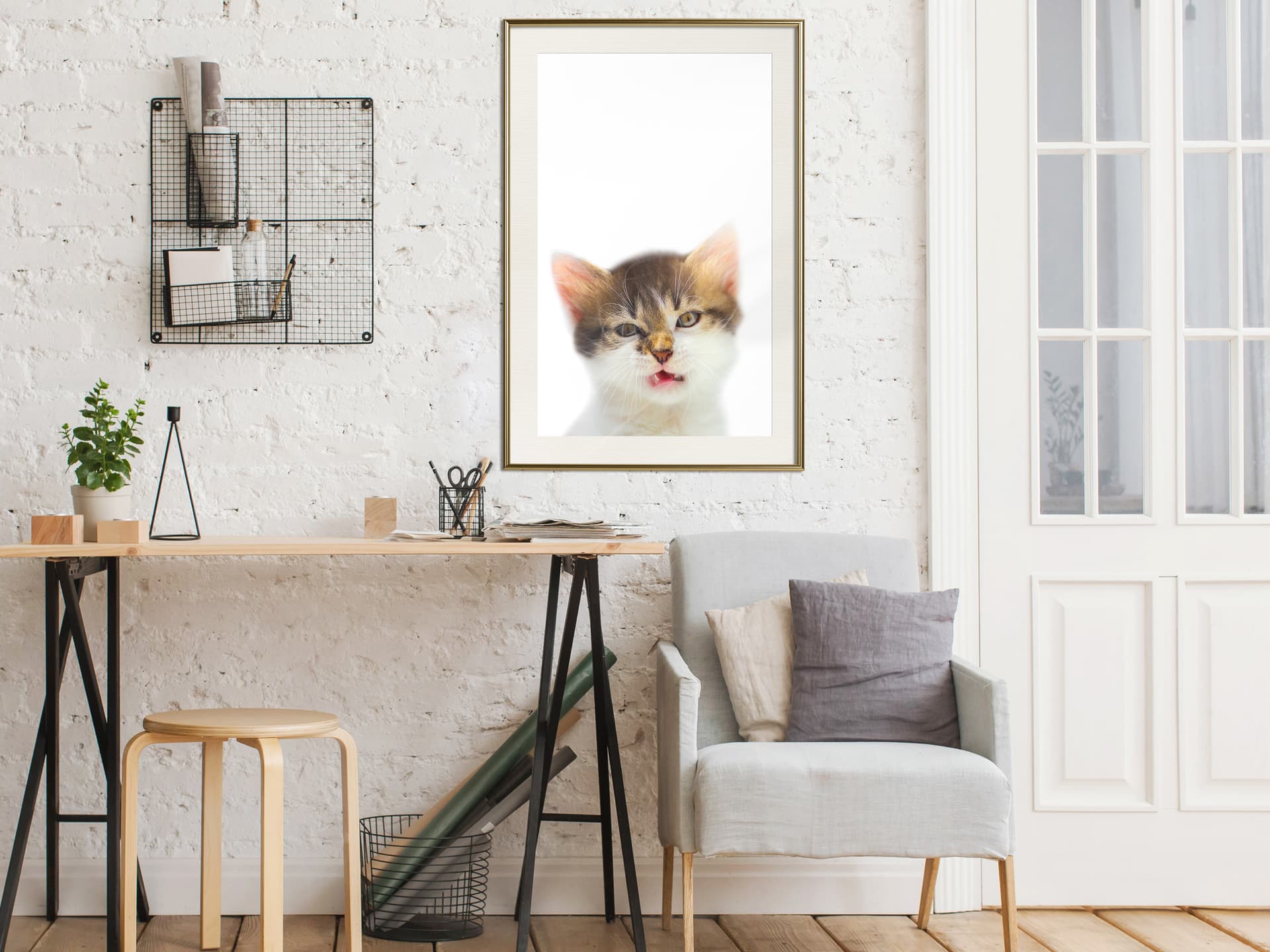 

Plakat - Śmieszny kotek (rozmiar 20x30, wykończenie Rama złota z passe-partout)