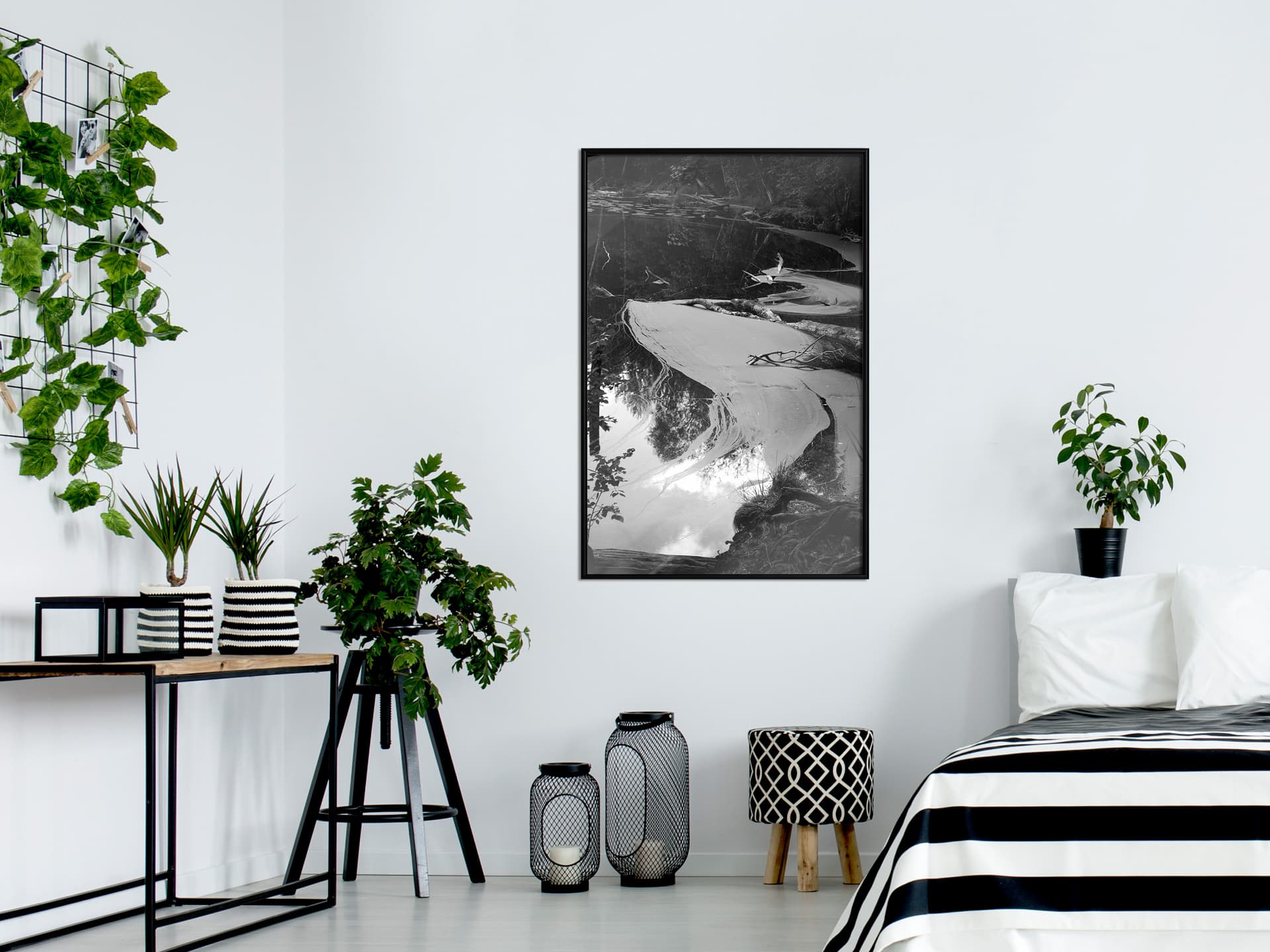 

Plakat - Rzęsa wodna (rozmiar 20x30, wykończenie Rama czarna)