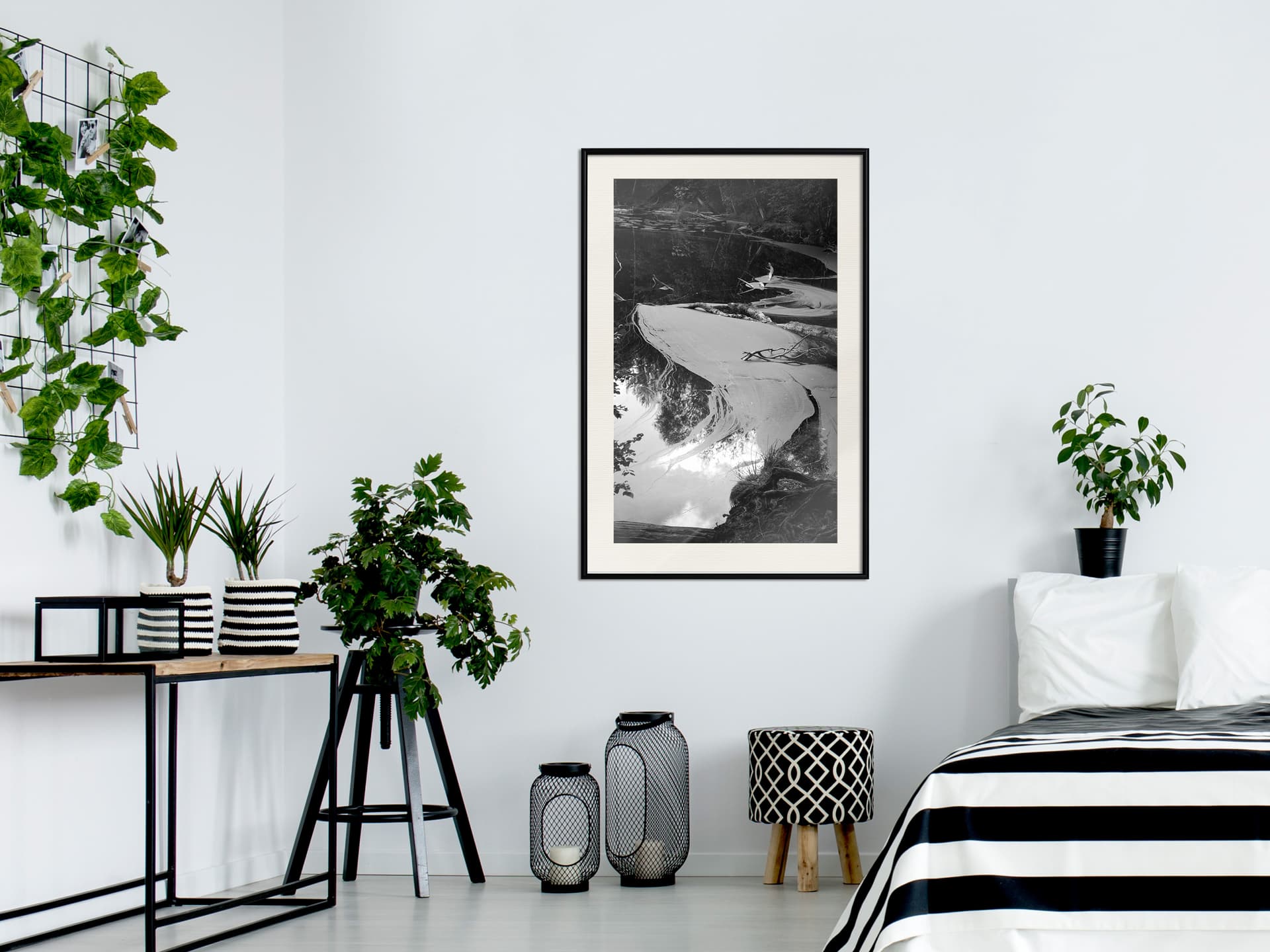 

Plakat - Rzęsa wodna (rozmiar 40x60, wykończenie Rama czarna z passe-partout)