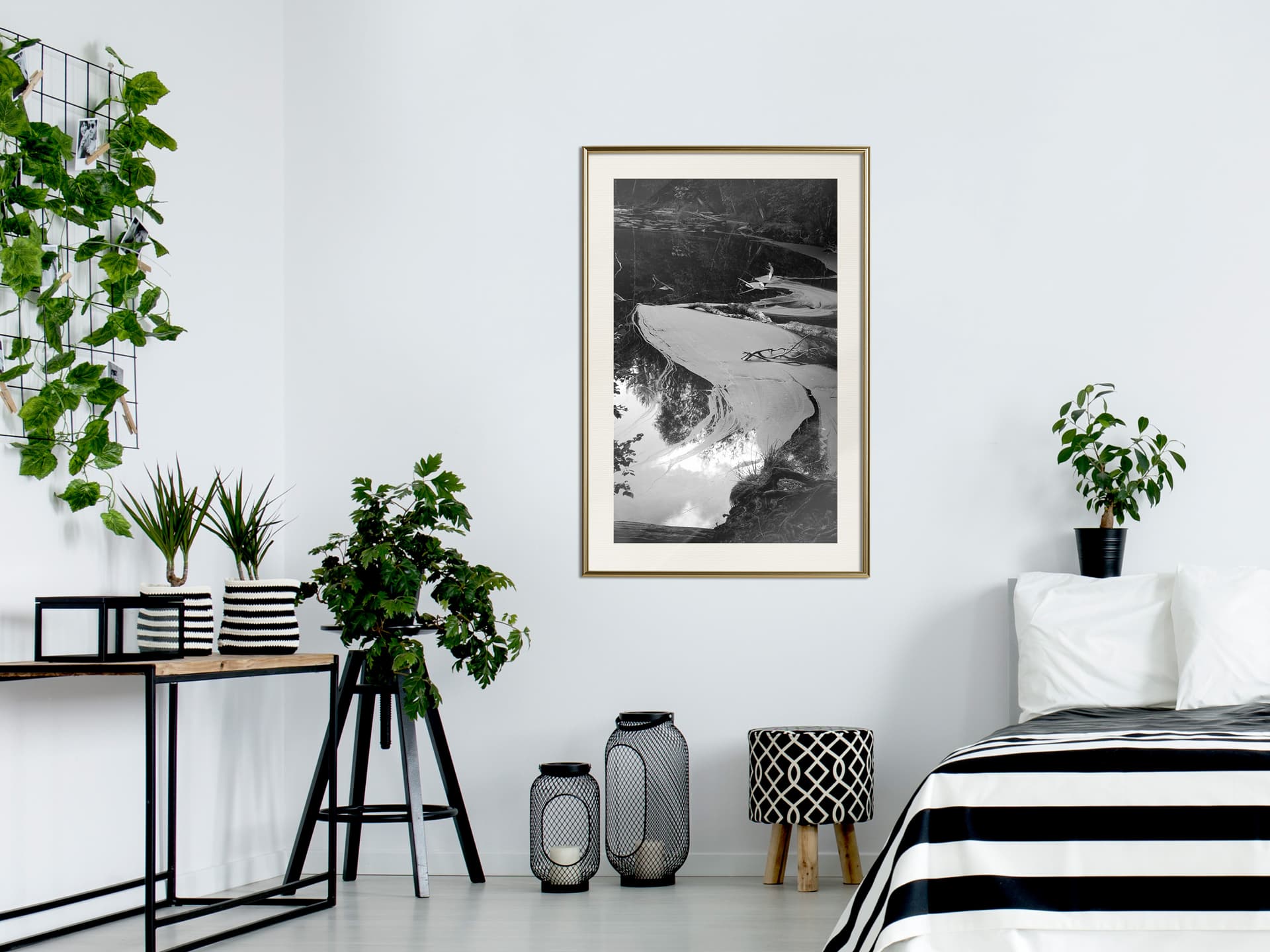 

Plakat - Rzęsa wodna (rozmiar 30x45, wykończenie Rama złota z passe-partout)