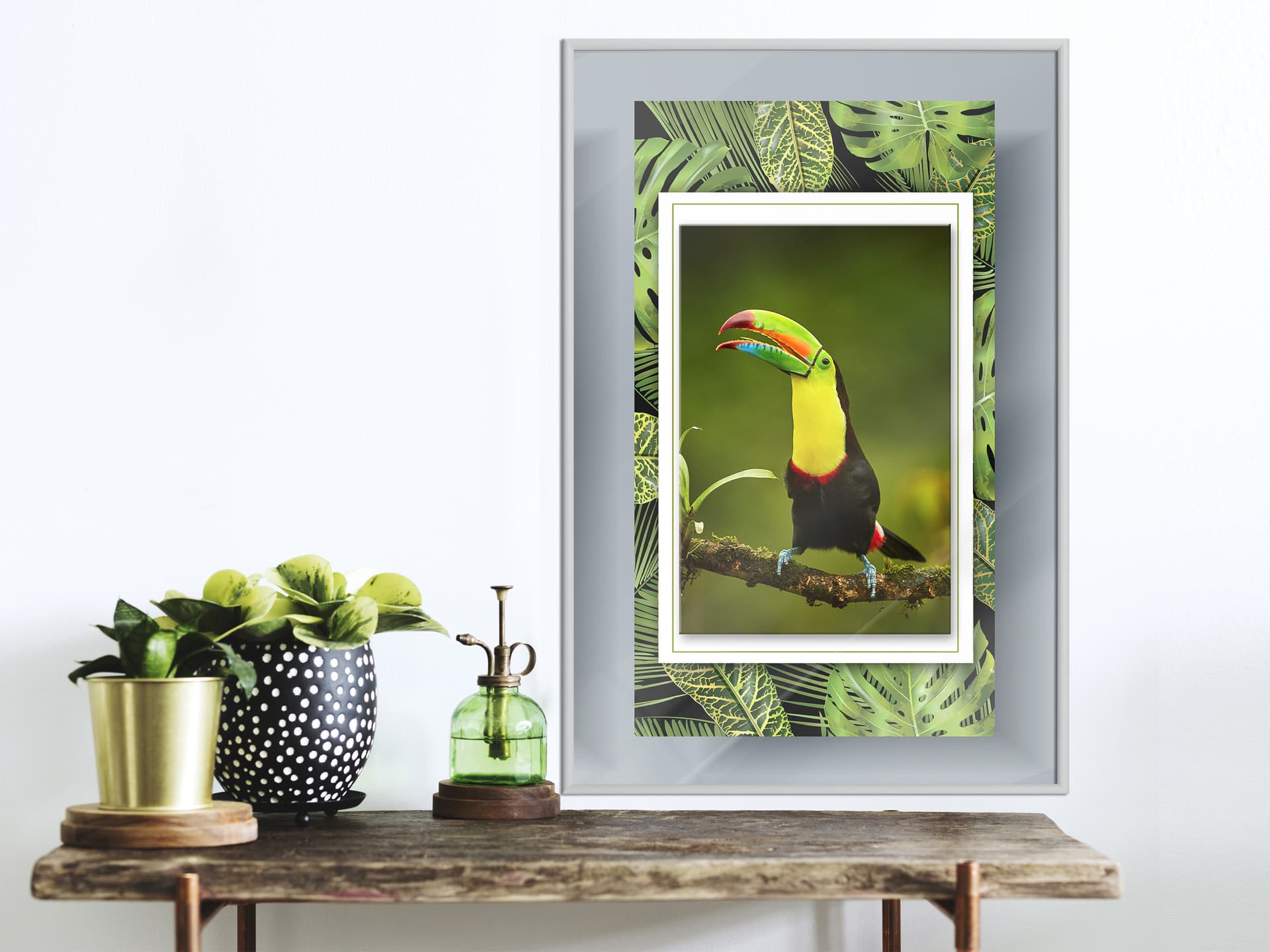 

Plakat - Tukan w ramie (rozmiar 20x30, wykończenie Rama biała)