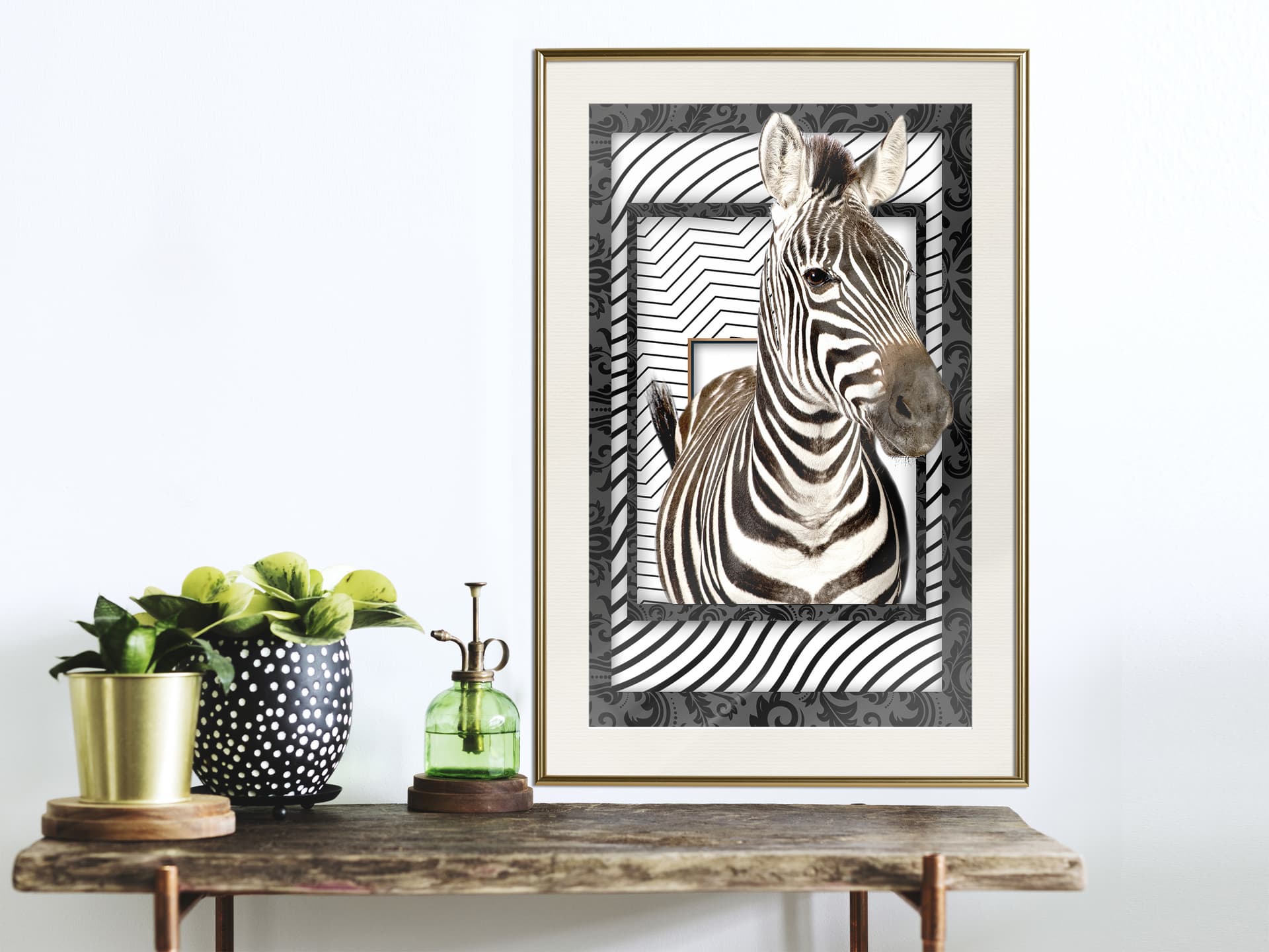 

Plakat - Zebra w ramie (rozmiar 40x60, wykończenie Rama złota z passe-partout)