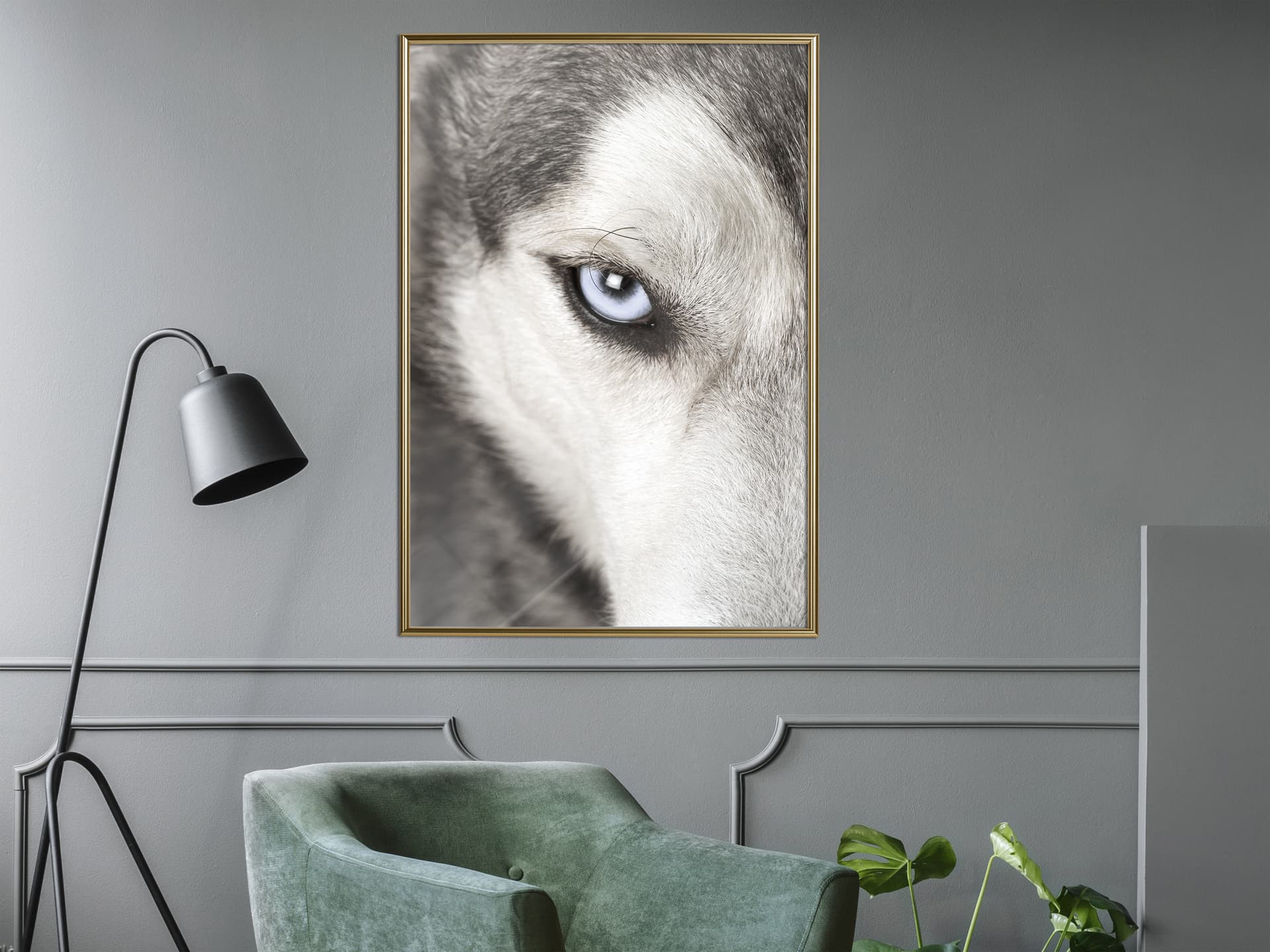 

Plakat - Błękitne oko (rozmiar 20x30, wykończenie Rama złota)