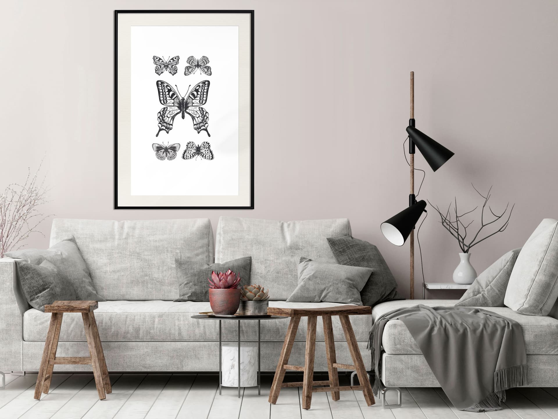 

Plakat - Kolekcja motyli IV (rozmiar 20x30, wykończenie Rama czarna z passe-partout)