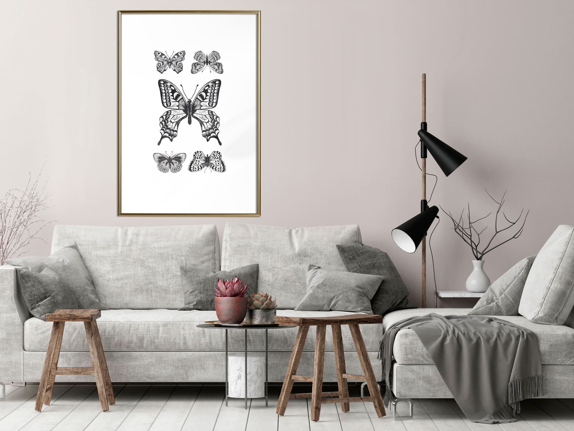 

Plakat - Kolekcja motyli IV (rozmiar 30x45, wykończenie Rama złota)