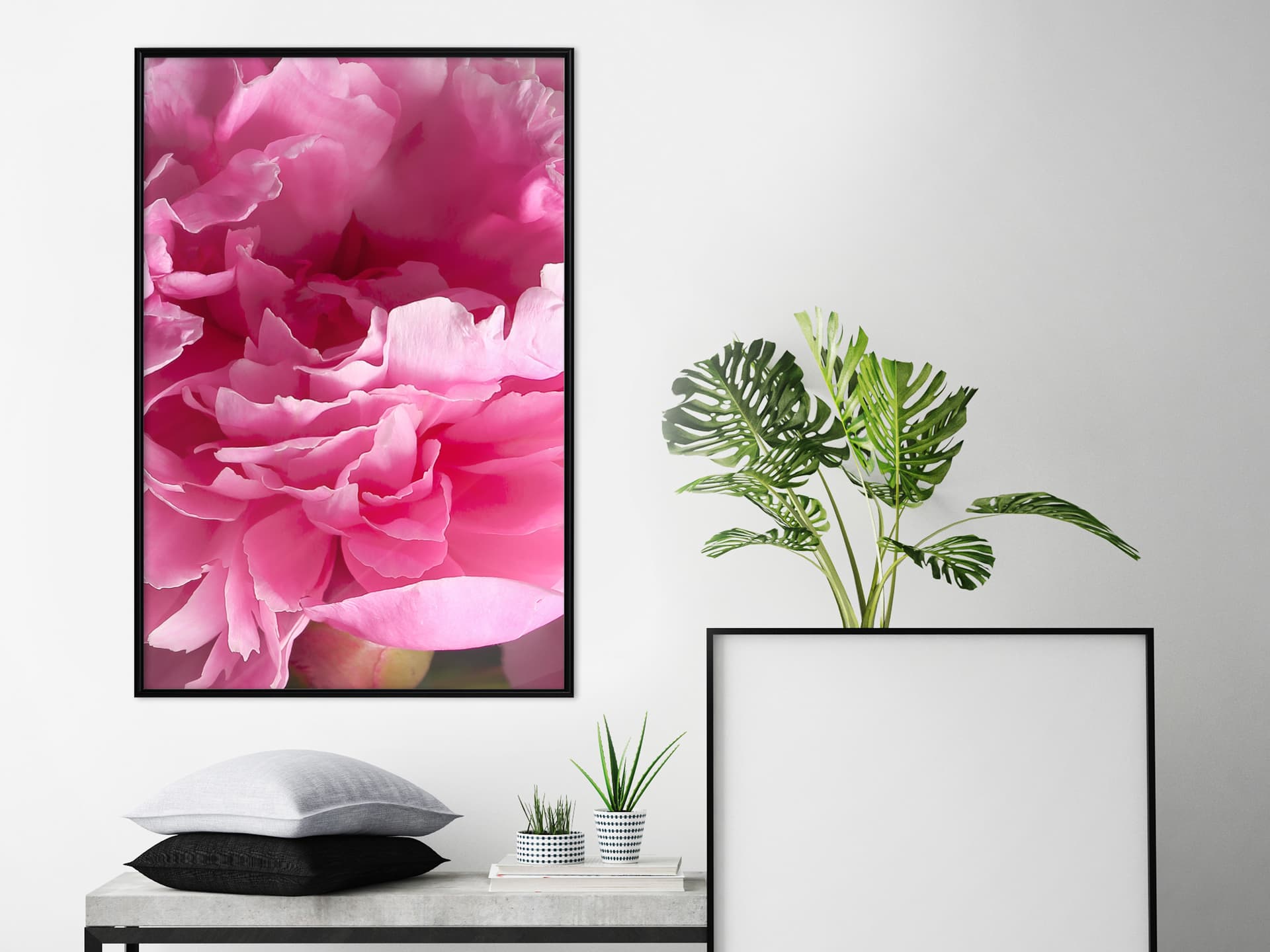 

Plakat - Szał magenty (rozmiar 20x30, wykończenie Rama czarna)