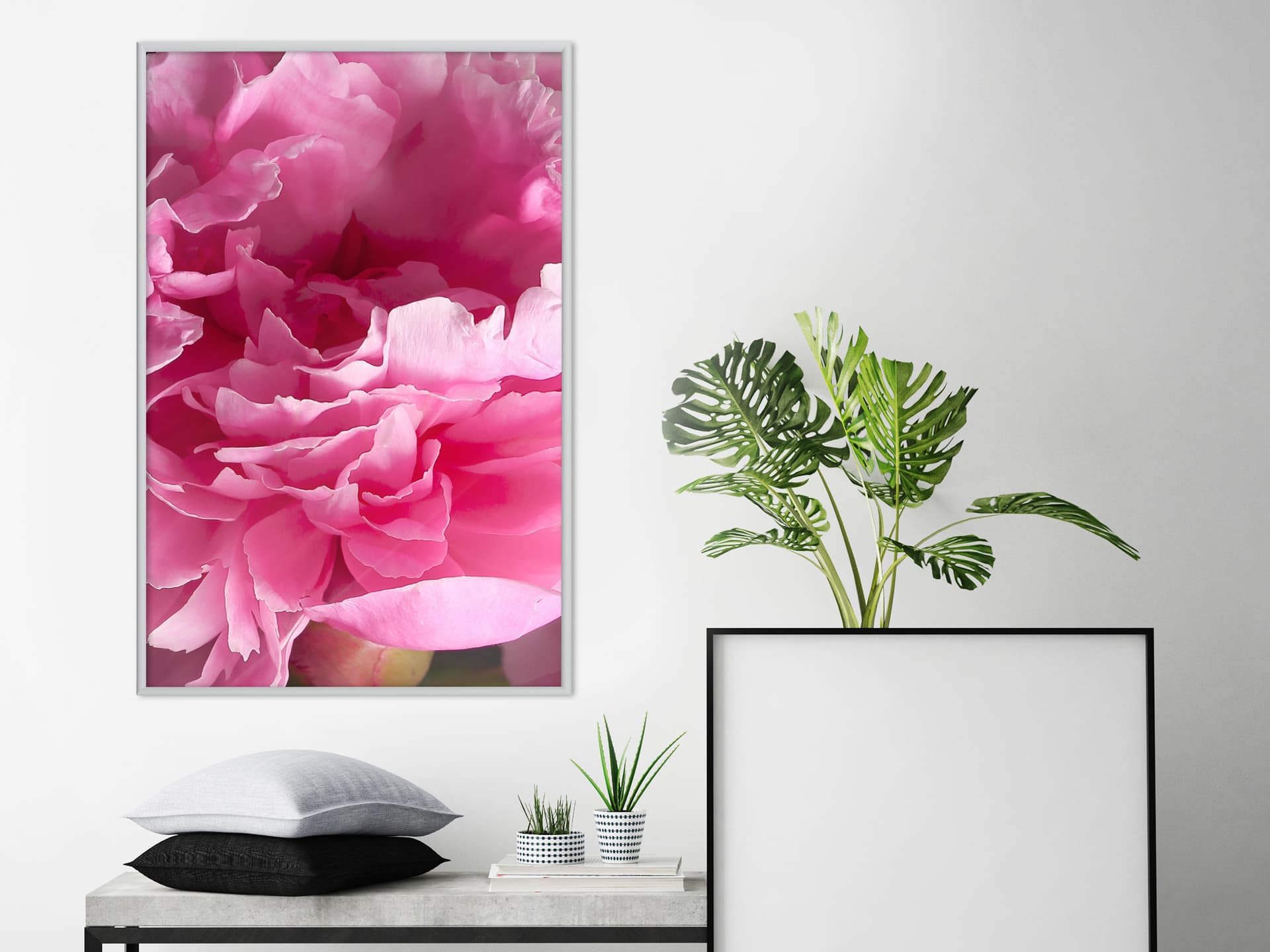

Plakat - Szał magenty (rozmiar 20x30, wykończenie Rama biała)
