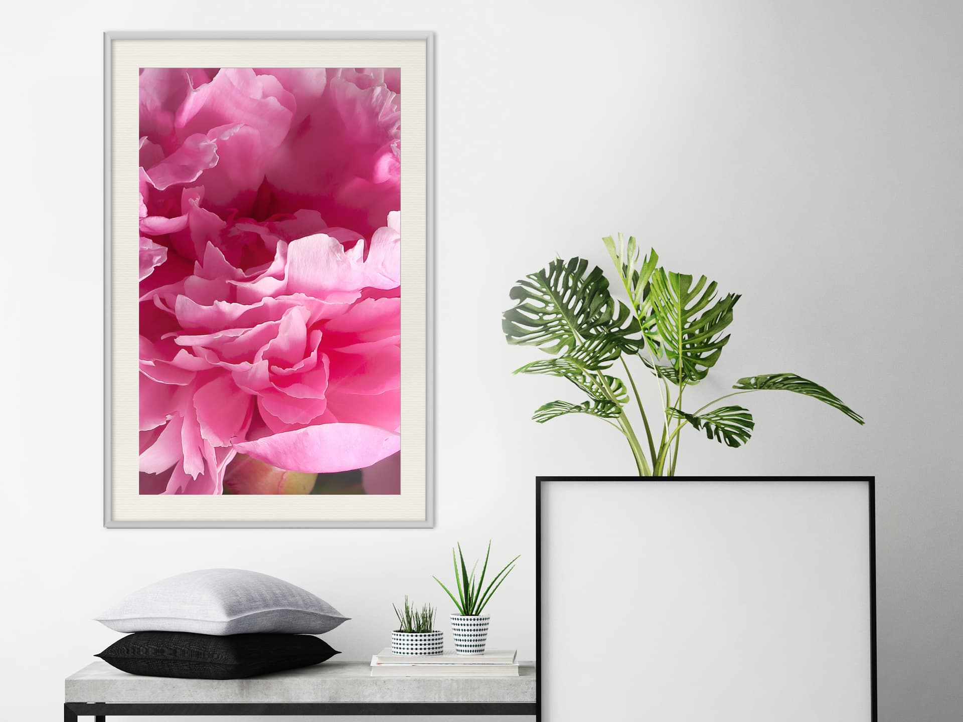 

Plakat - Szał magenty (rozmiar 20x30, wykończenie Rama biała z passe-partout)
