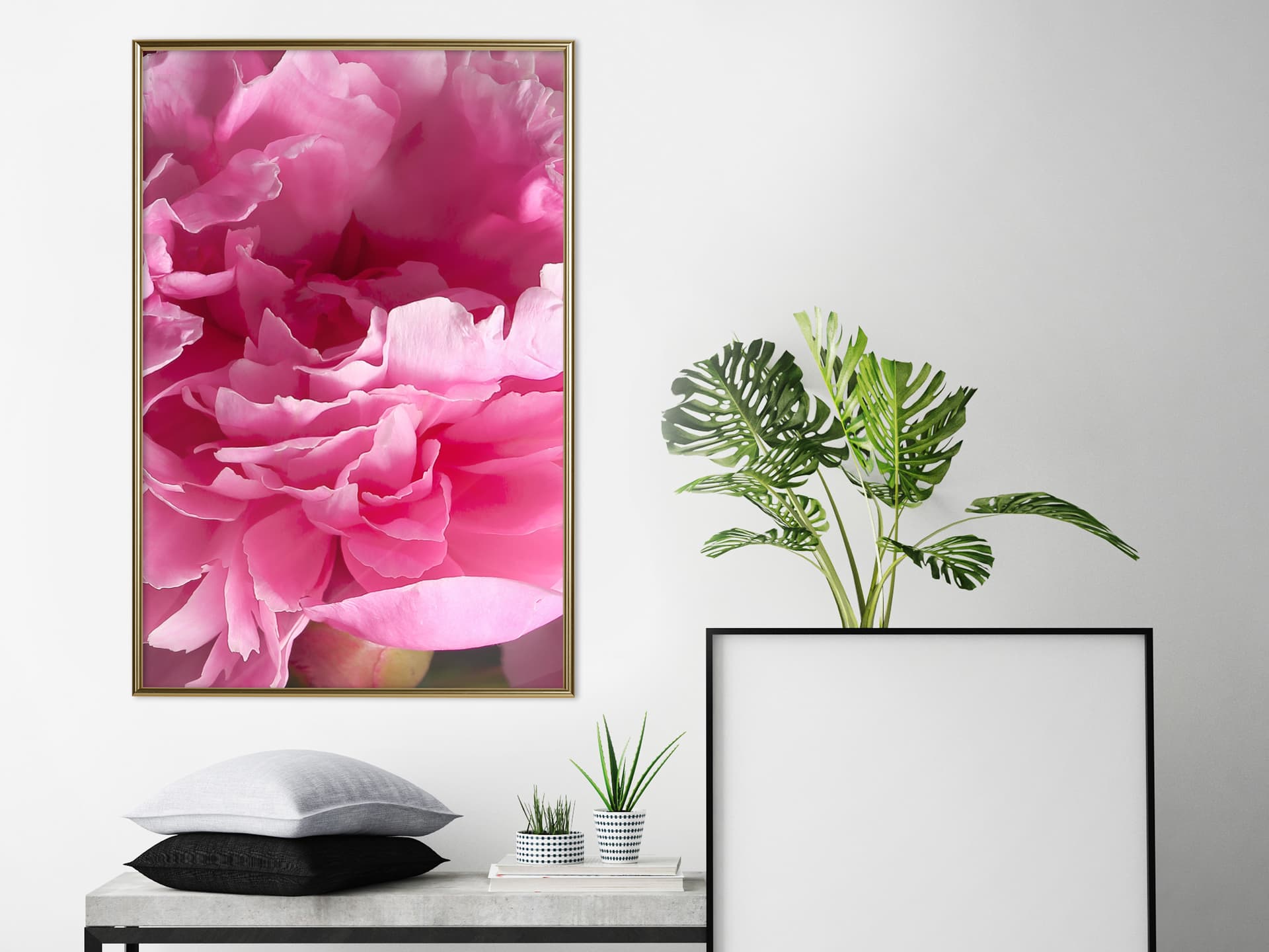 

Plakat - Szał magenty (rozmiar 20x30, wykończenie Rama złota)