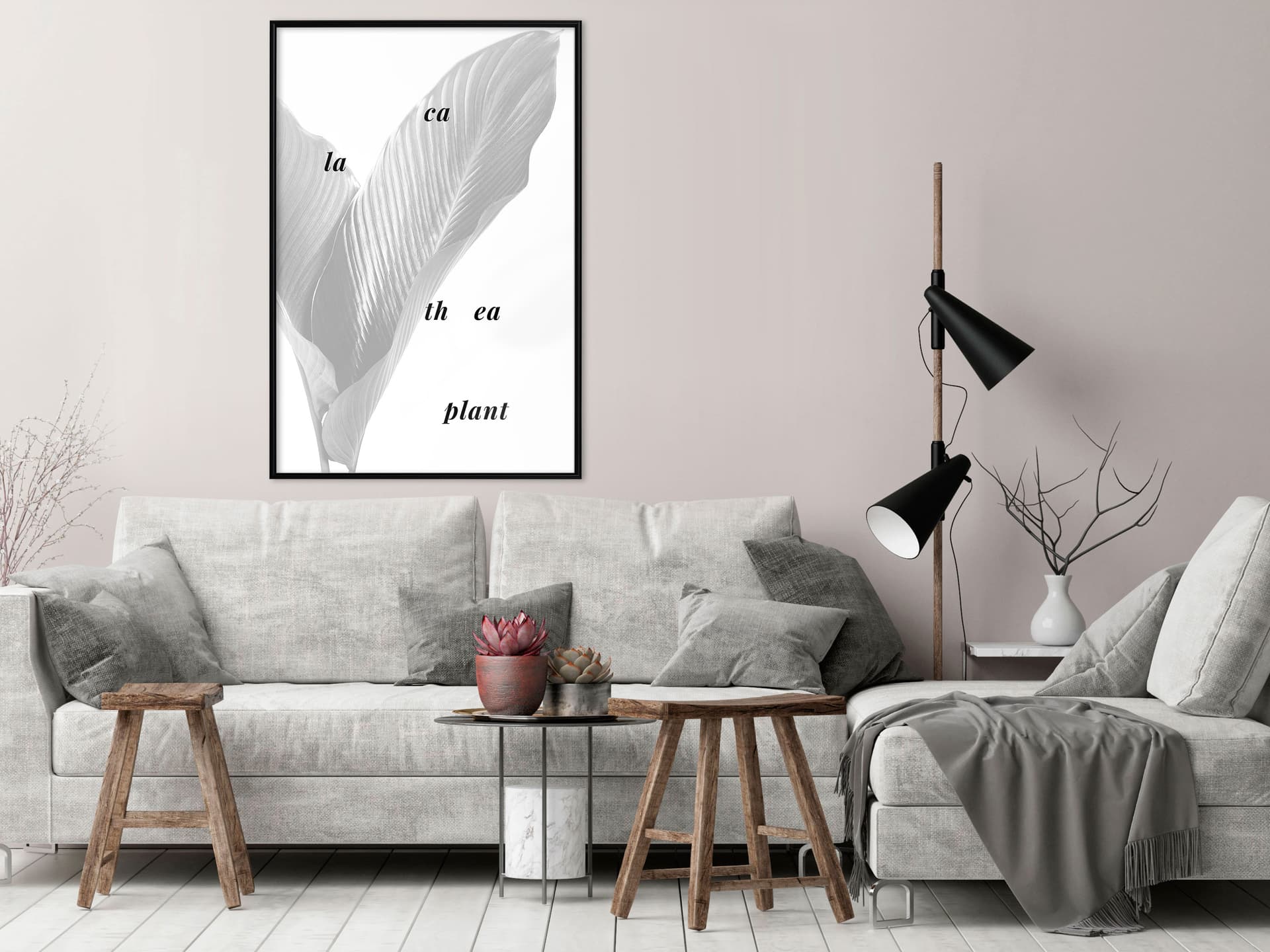 

Plakat - Liście kalatei (rozmiar 20x30, wykończenie Rama czarna)
