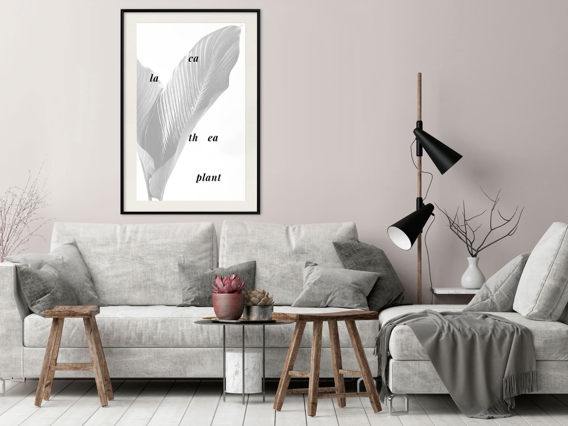 

Plakat - Liście kalatei (rozmiar 40x60, wykończenie Rama czarna z passe-partout)
