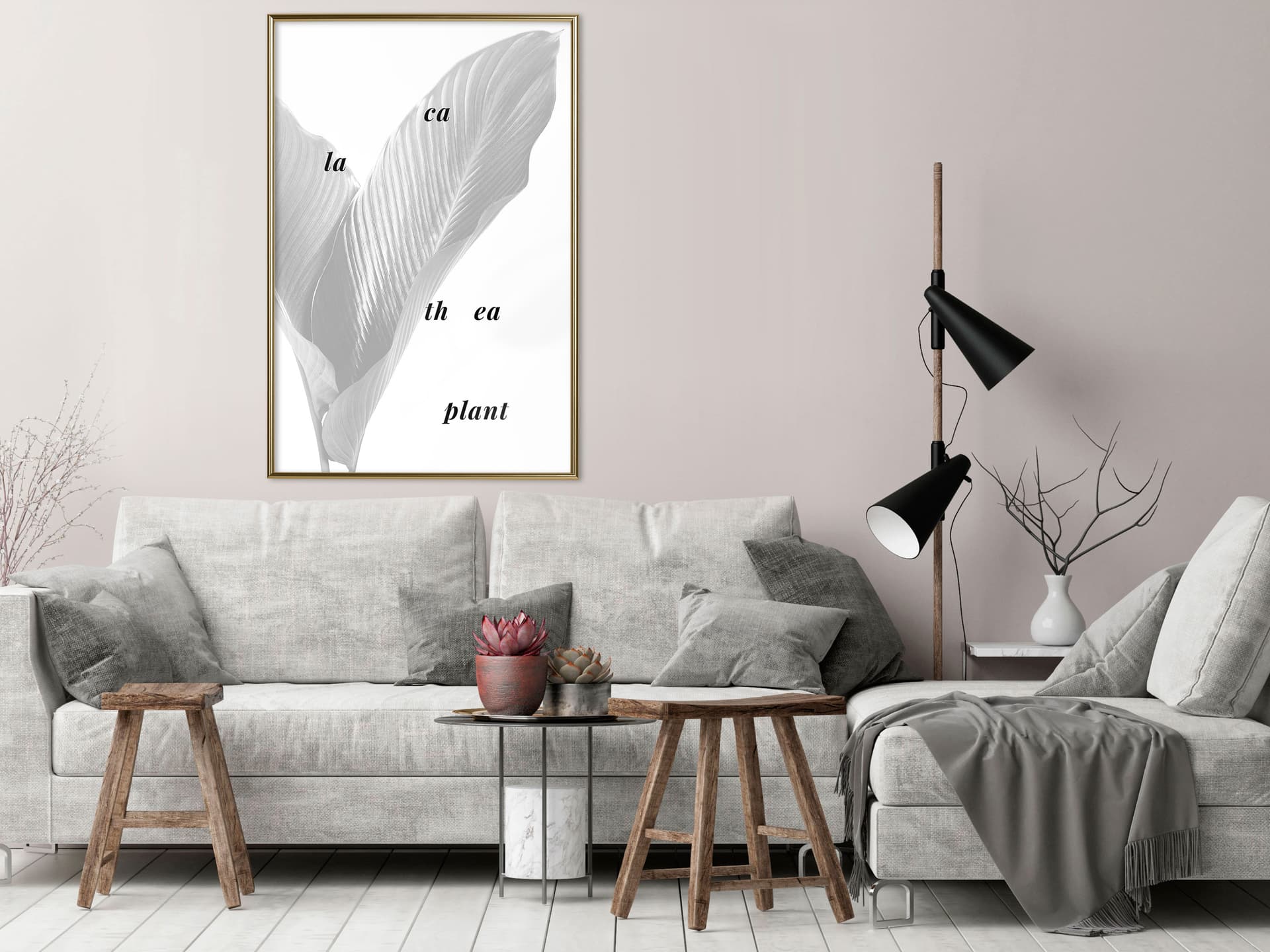 

Plakat - Liście kalatei (rozmiar 40x60, wykończenie Rama złota)