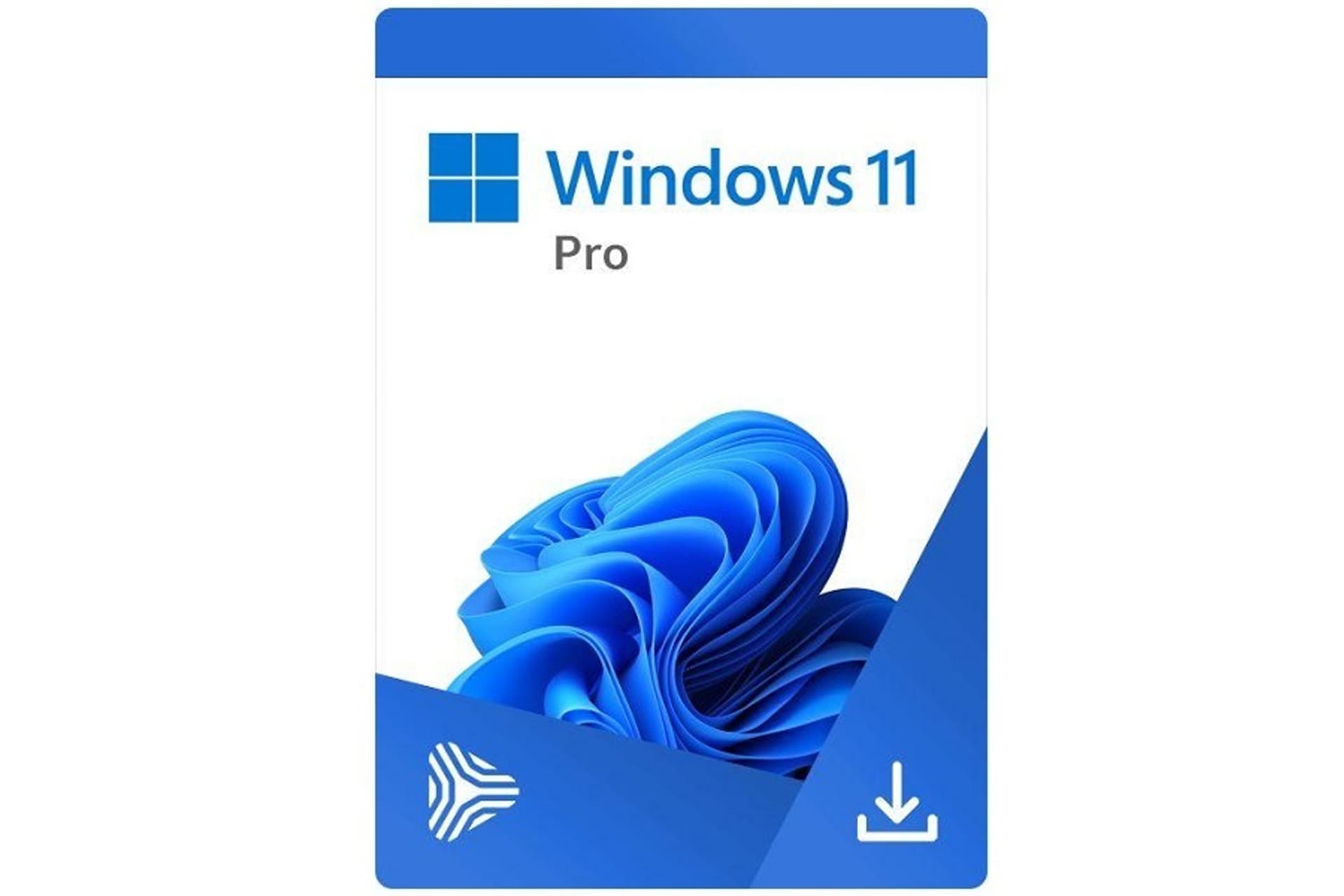 

MS Windows 11 Professional 64bit Polish 1pk DVD OEM