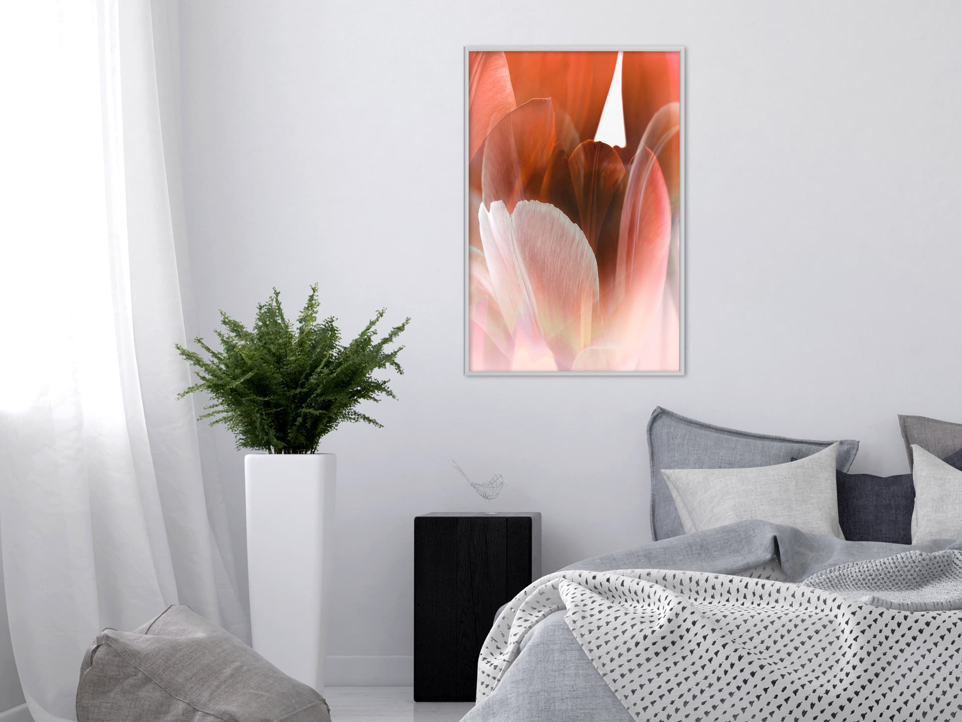 

Plakat - Płatki tulipana (rozmiar 20x30, wykończenie Rama biała)