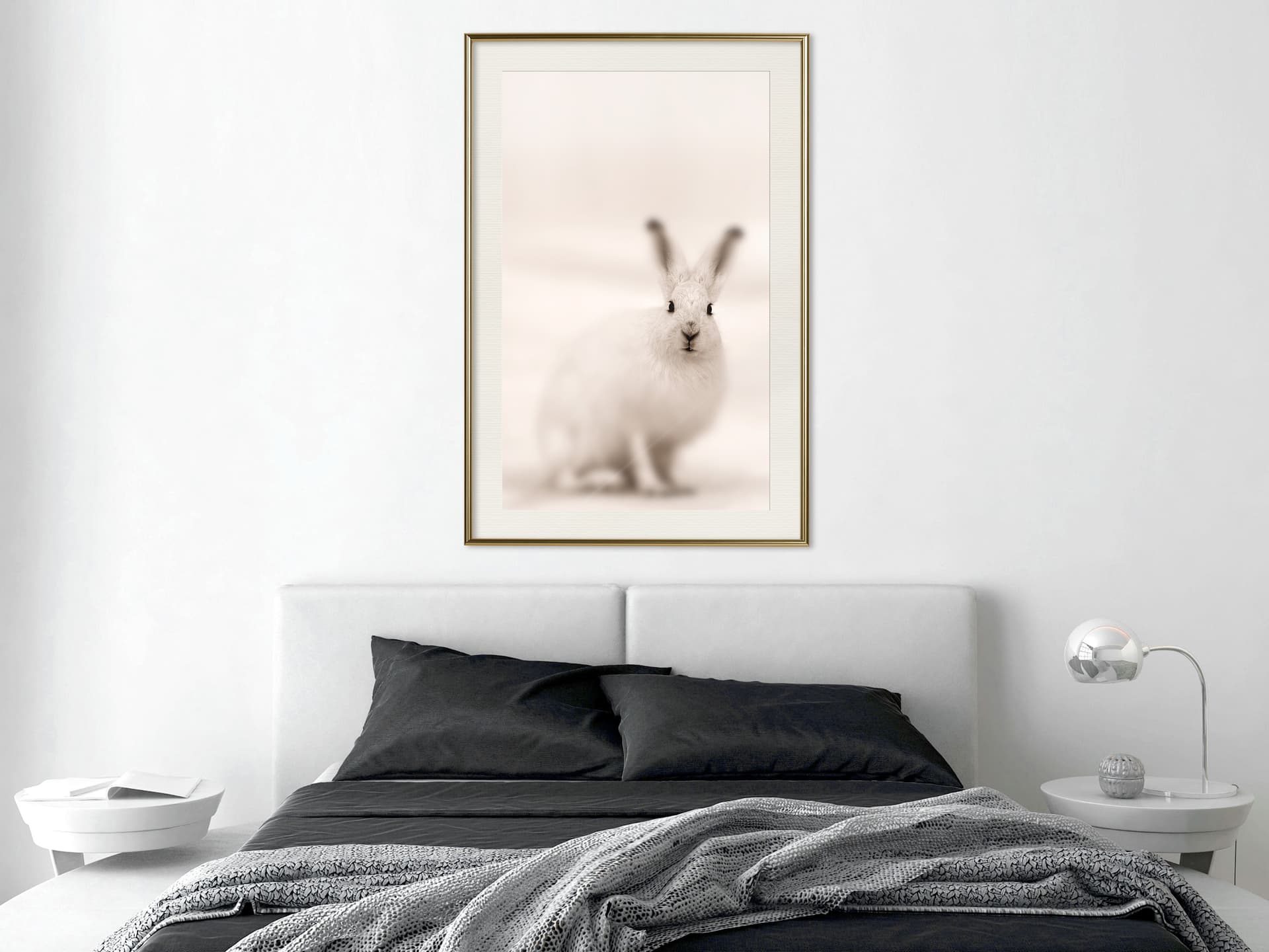 

Plakat - Zaciekawiony królik (rozmiar 20x30, wykończenie Rama złota z passe-partout)