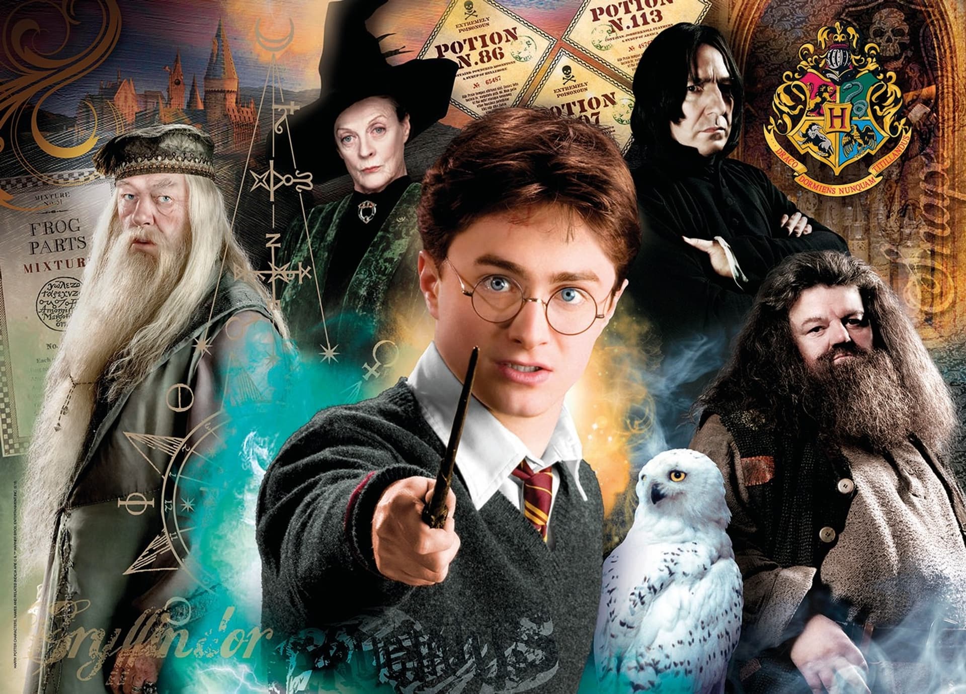 

Puzzle 500 elementów Harry Potter 2