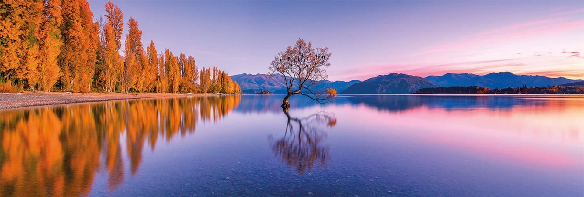 

Puzzle 1000 elementów Panorama Lake Wanaka Tree