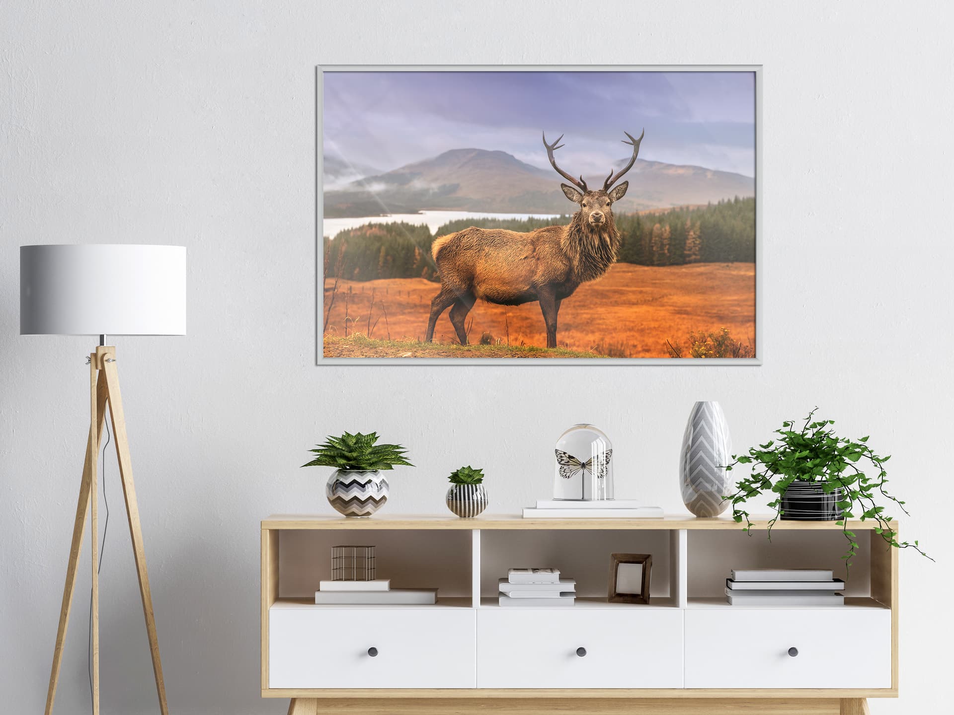 

Plakat - Majestatyczny jeleń (rozmiar 45x30, wykończenie Rama biała)