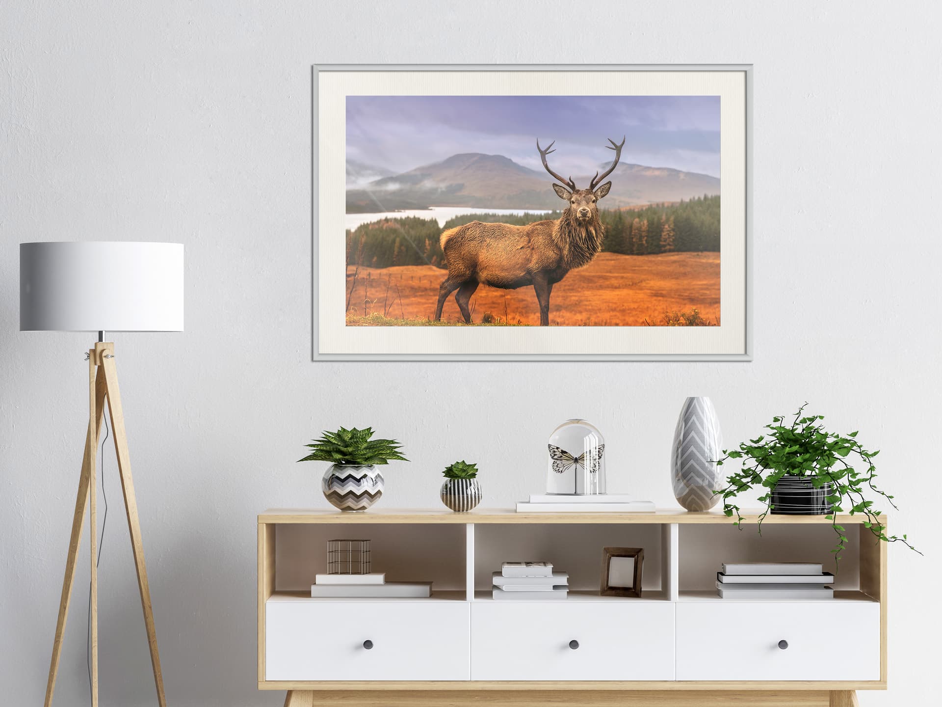 

Plakat - Majestatyczny jeleń (rozmiar 45x30, wykończenie Rama biała z passe-partout)