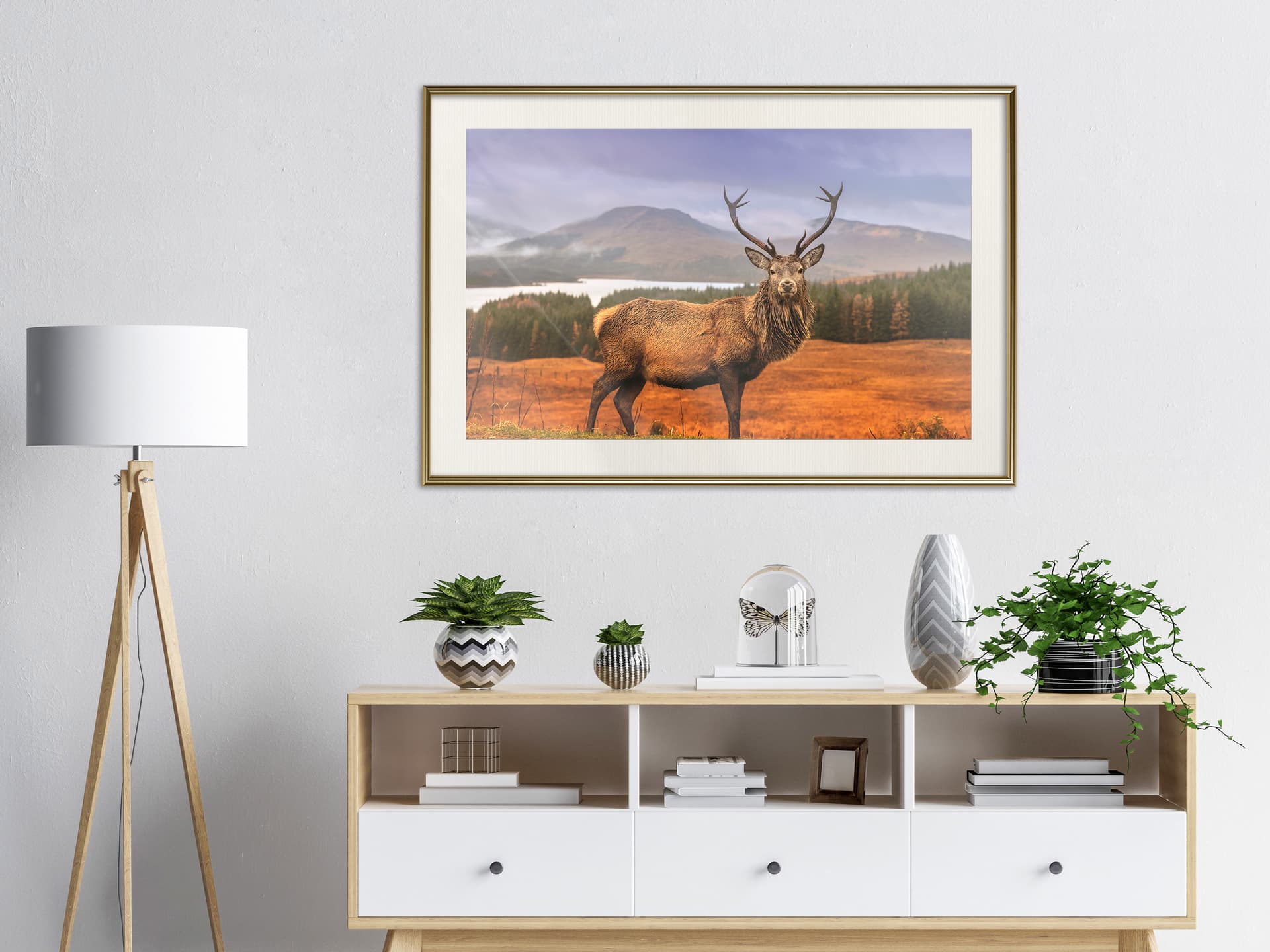 

Plakat - Majestatyczny jeleń (rozmiar 30x20, wykończenie Rama złota z passe-partout)