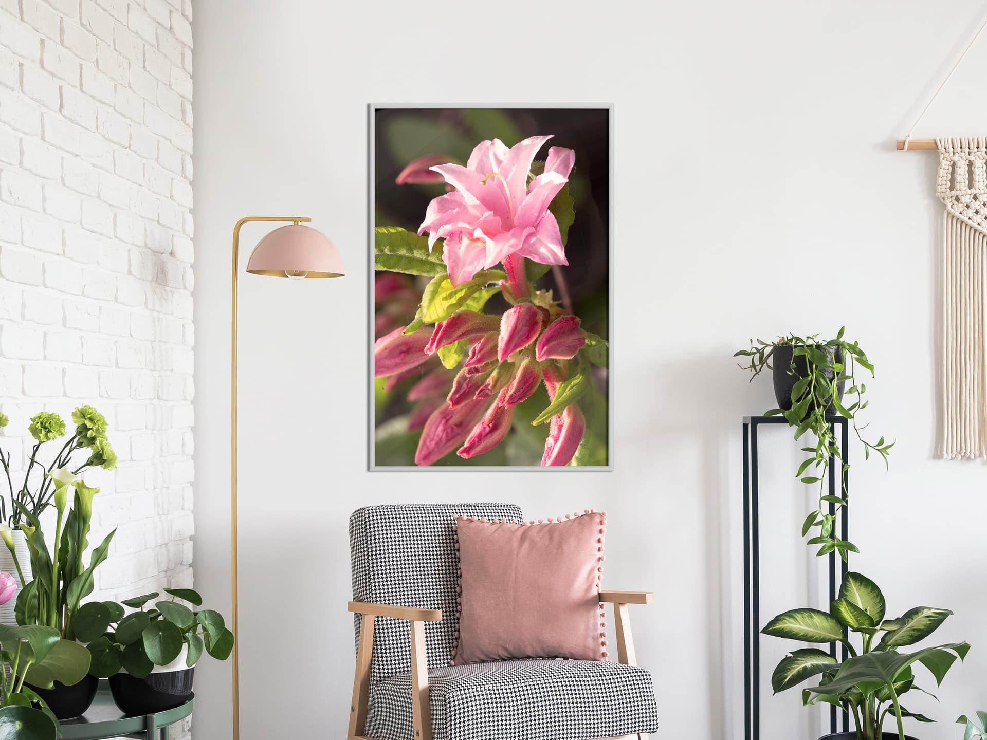 

Plakat - Chluba ogrodu (rozmiar 20x30, wykończenie Rama biała)
