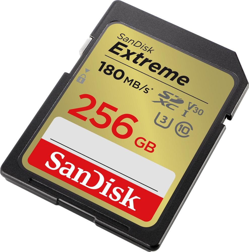 

Karta pamięci SANDISK 256 GB Opakowanie