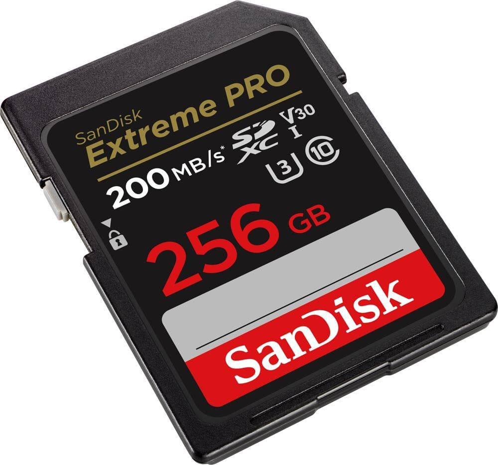 

Karta pamięci SANDISK 256 GB Opakowanie