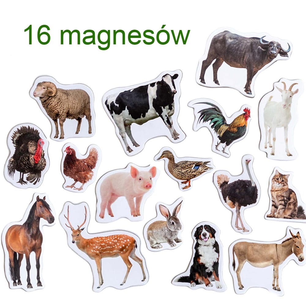 

Zestaw Magnesów Farma MV 6032-04