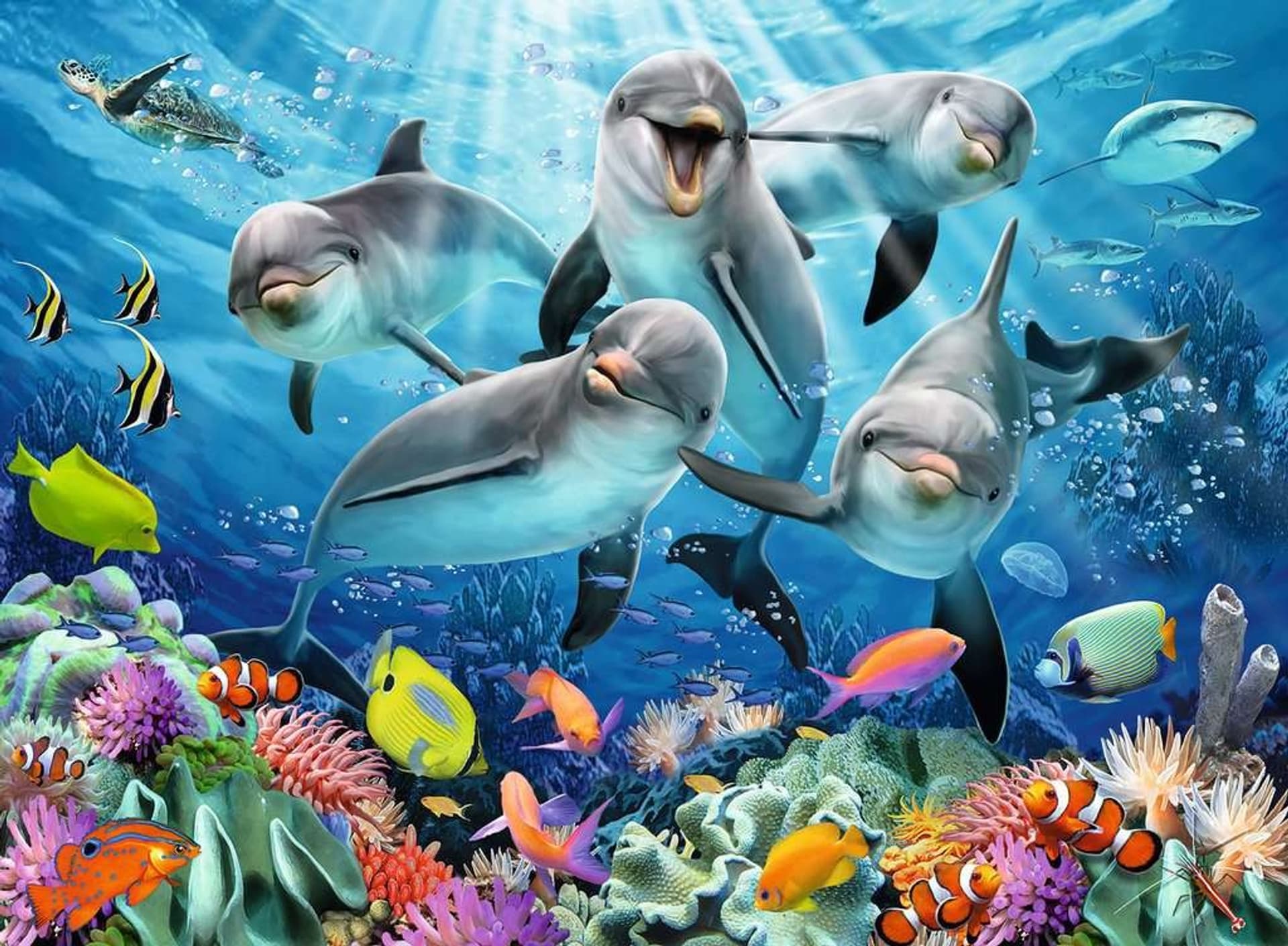 

Puzzle 500 elementów Delfiny