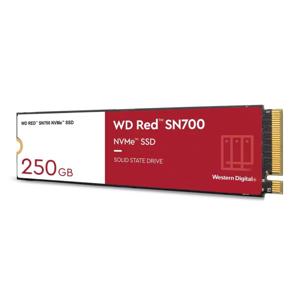 

WDS250G1R0C