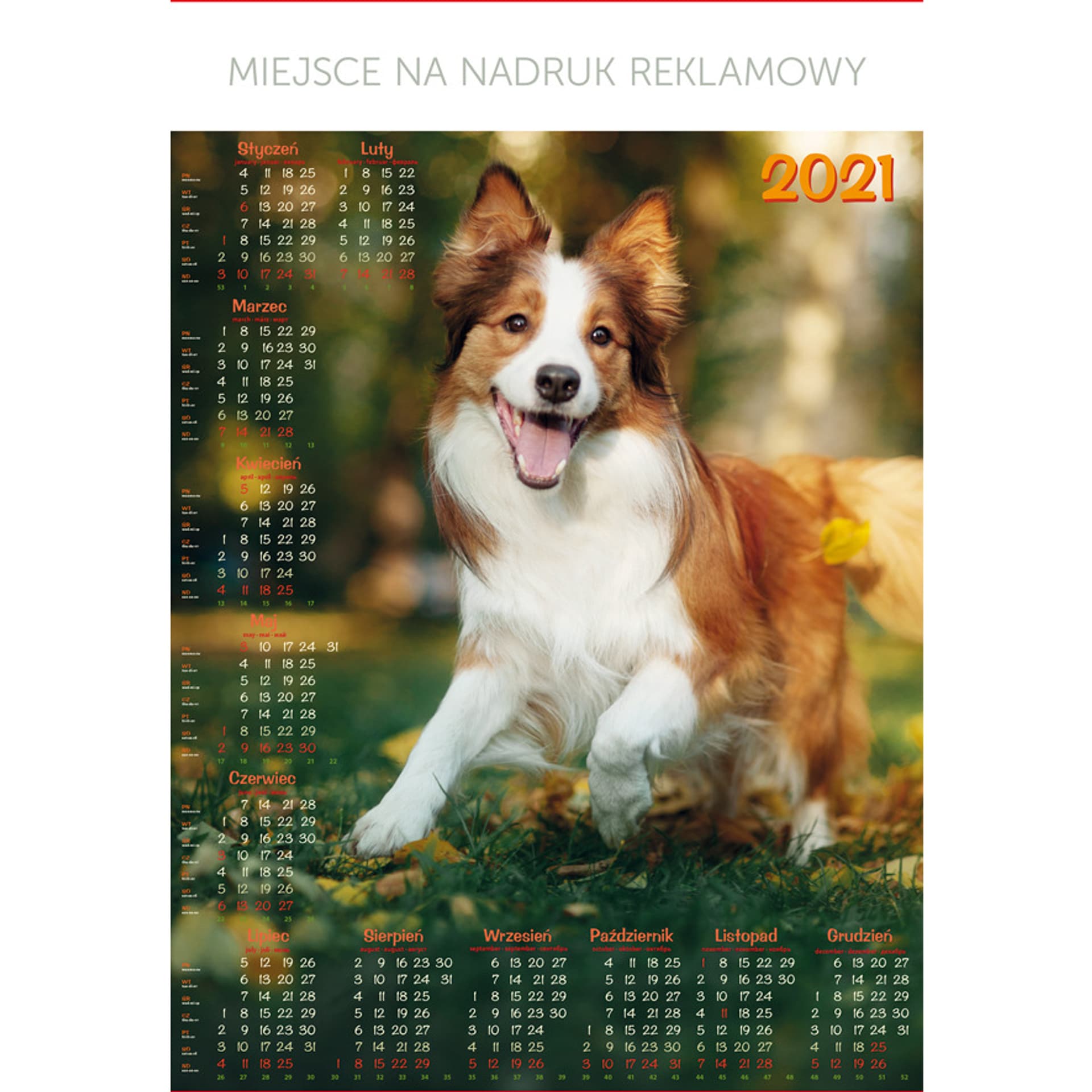 

Kalendarz Plakatowy B1, P18 - PIES 67x98cm TELEGRAPH