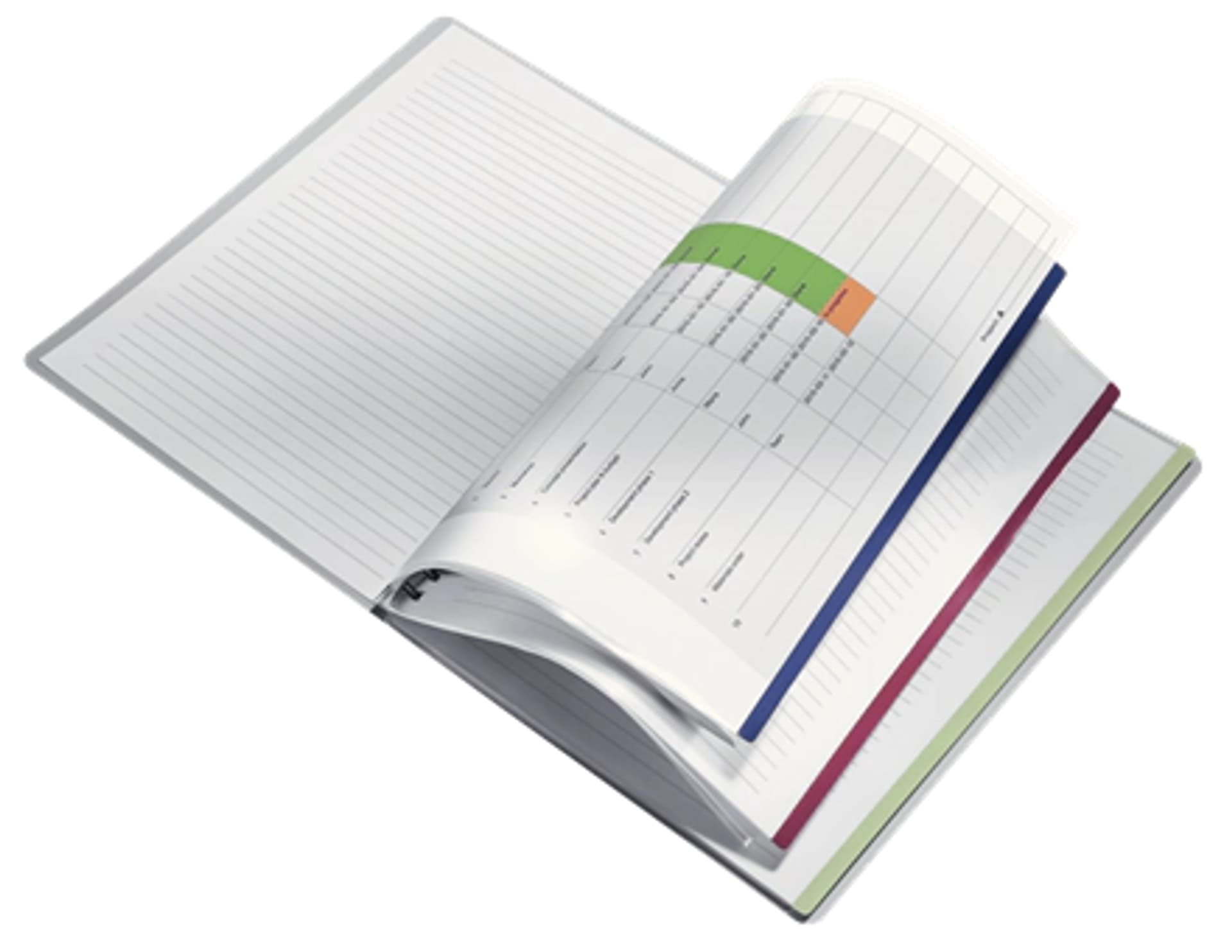 

Kołonotatnik A4 80kartek linia PP Project Book EXECUTIVE 44680000 LEITZ