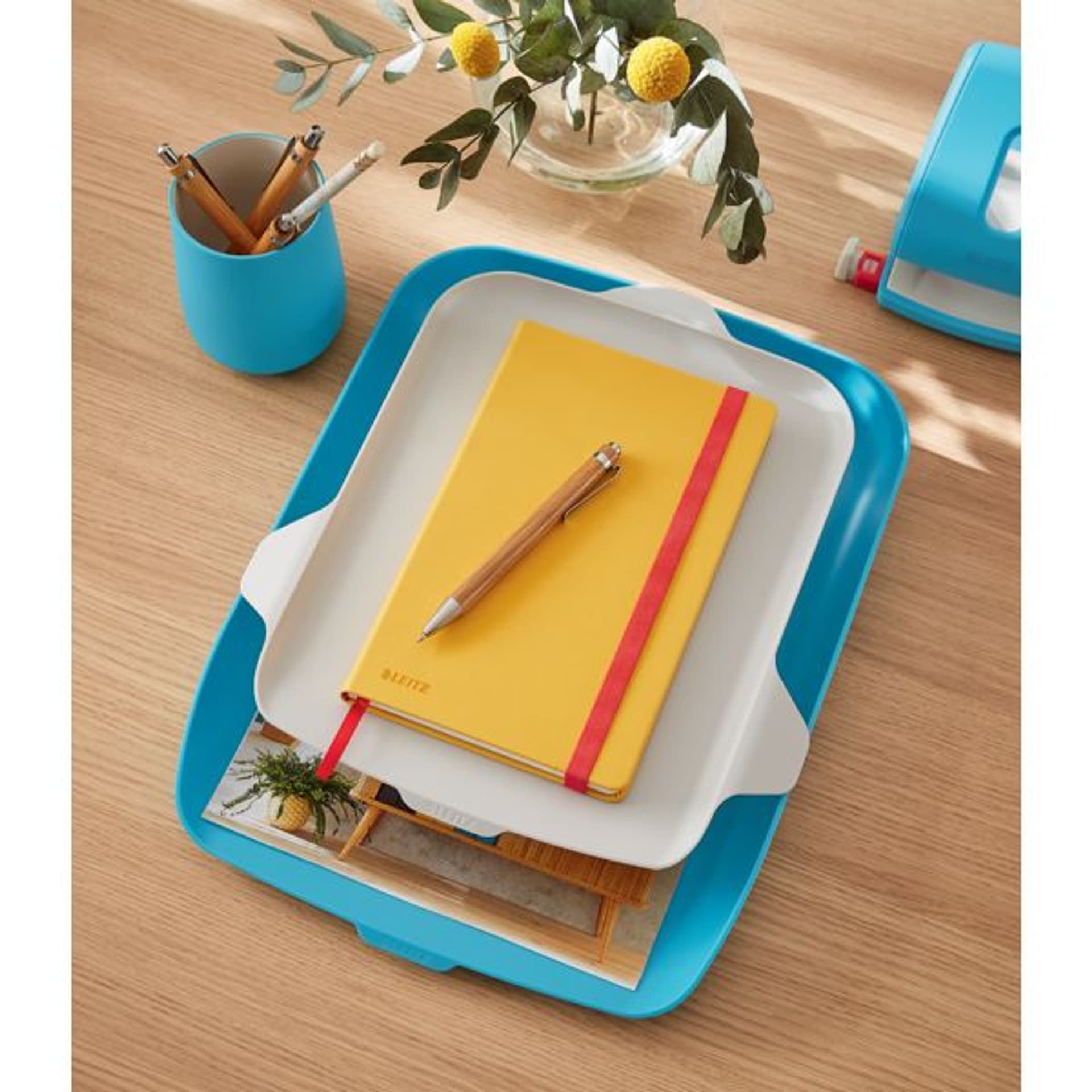 

Półka na dokumenty LEITZ Cosy z organizerem niebieska 52590061