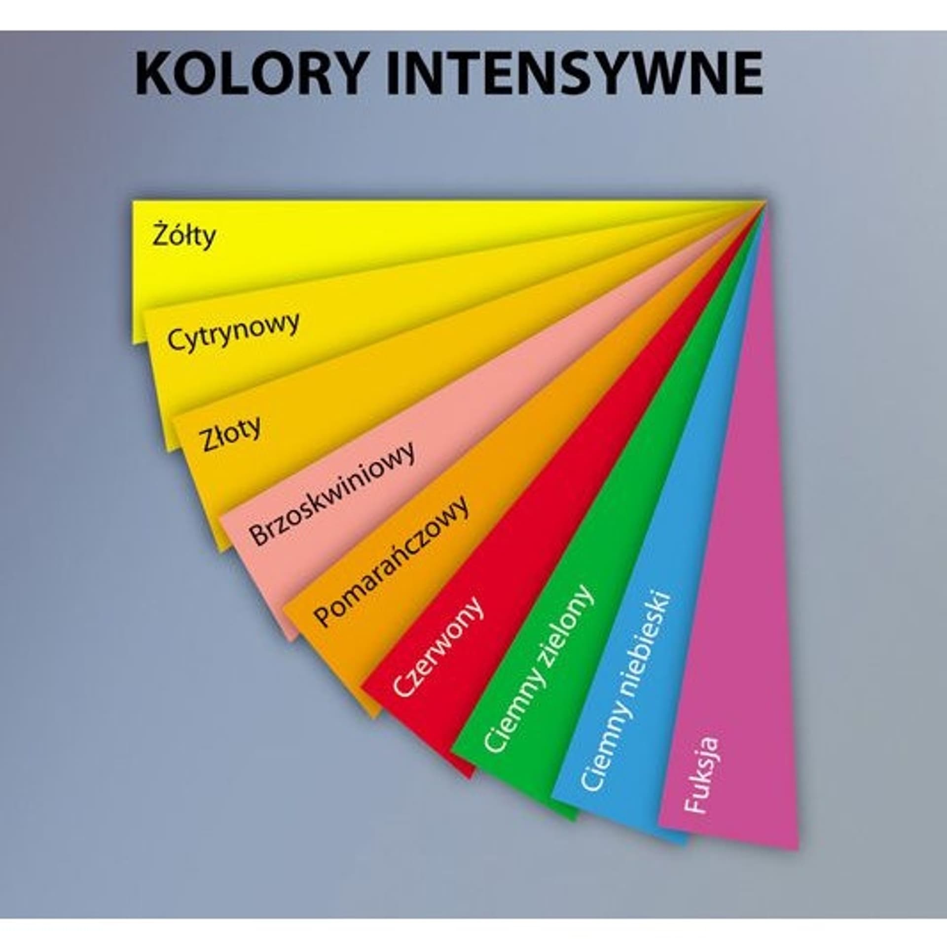 

Papier ksero A4 160g TROPHEE pomarańcz 1765 250ark