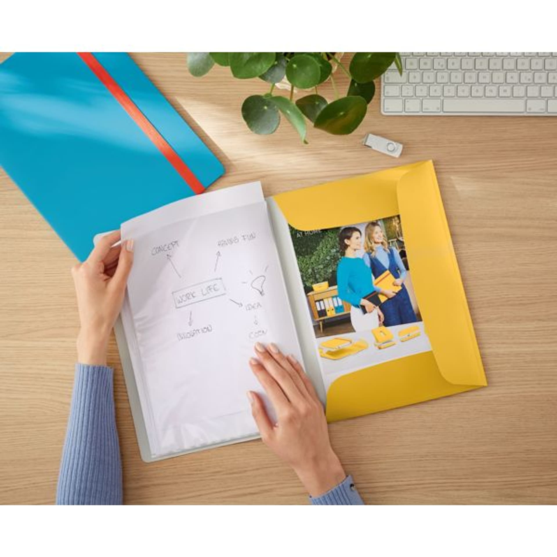 

Album ofertowy, poszerzony, PP, żółty 46700019
