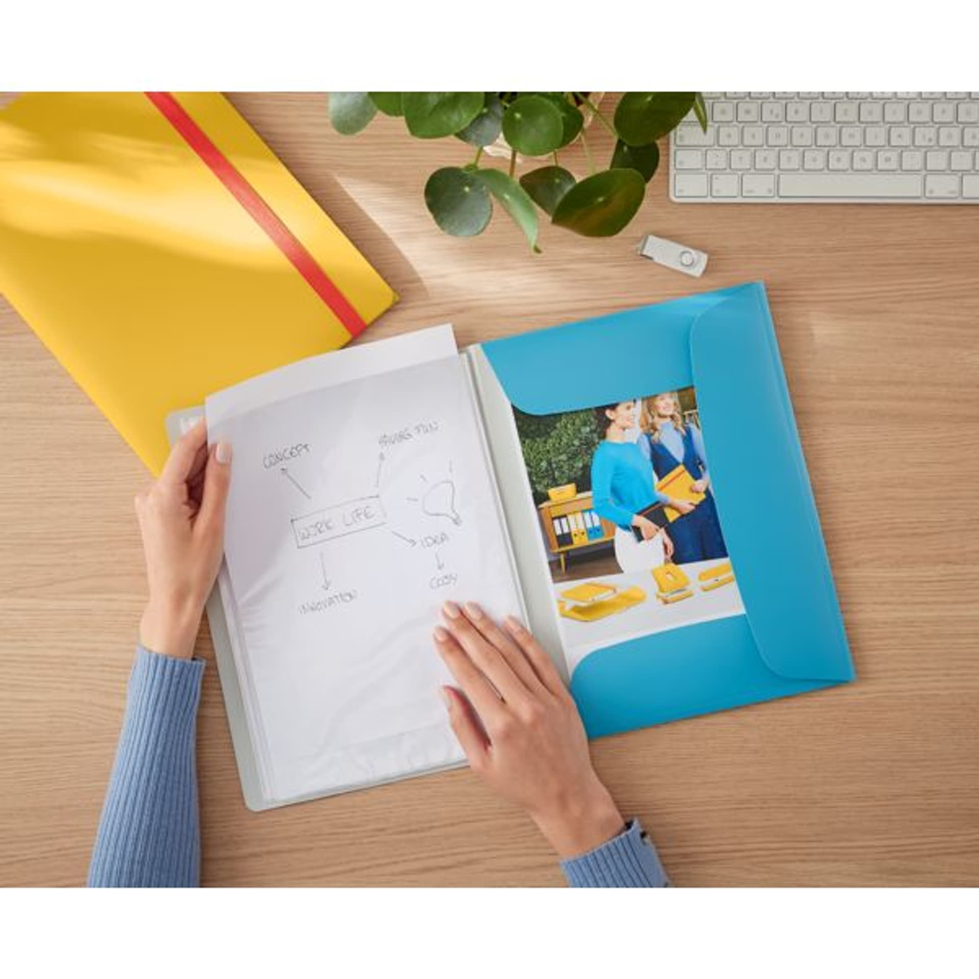 

Album ofertowy, poszerzony, PP, niebieski 46700061