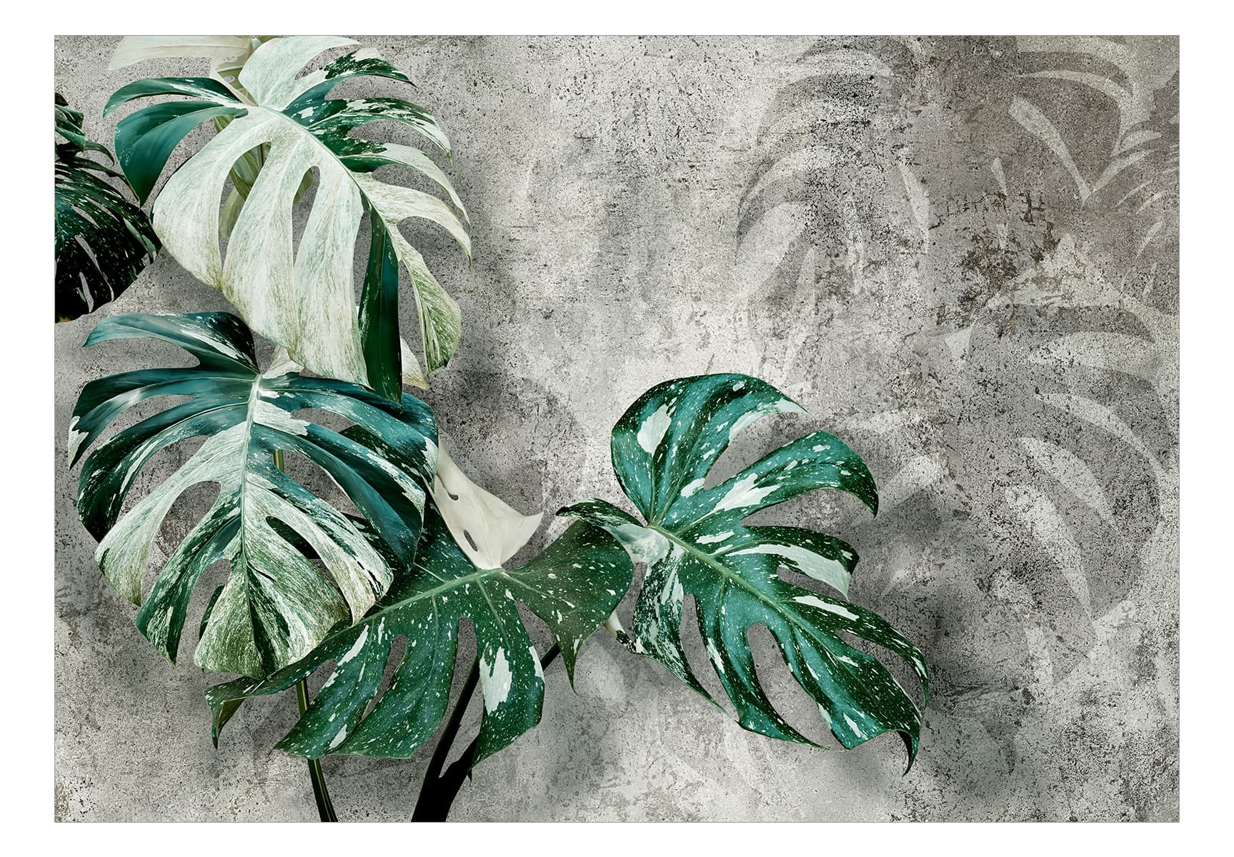 

Fototapeta samoprzylepna - Variegata (rozmiar 392x280)