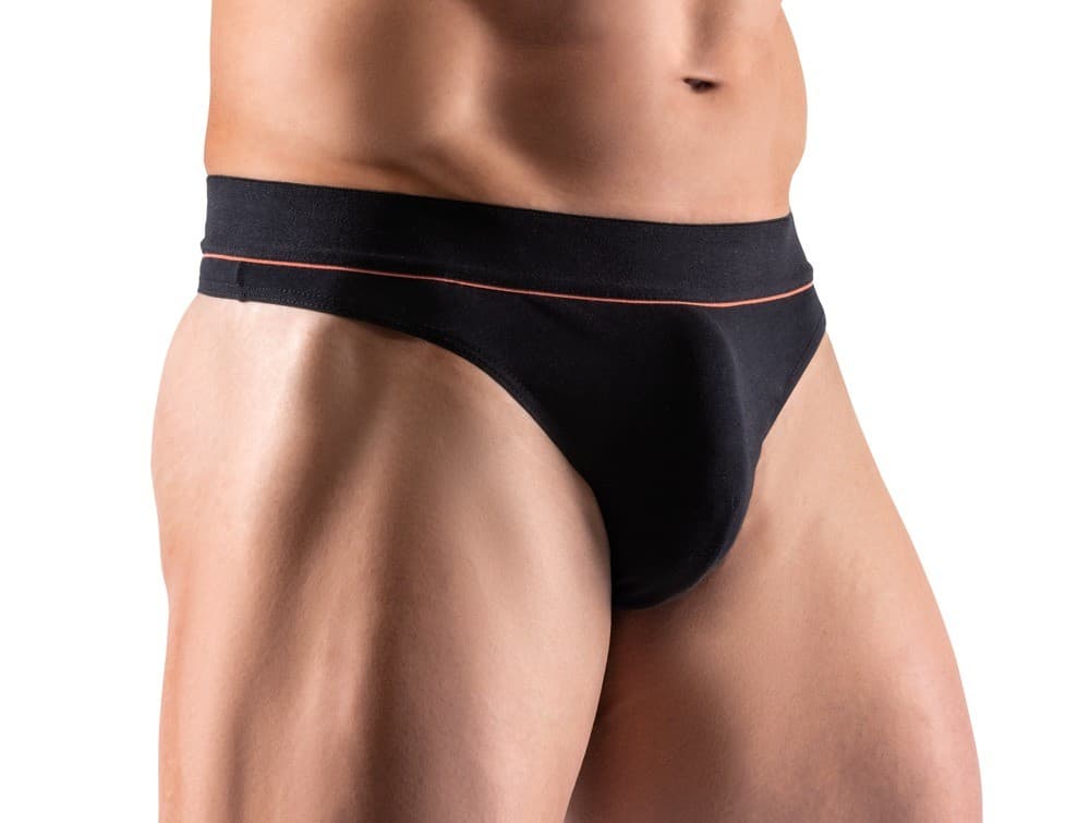 

Stringi Vincent S Svenjoment