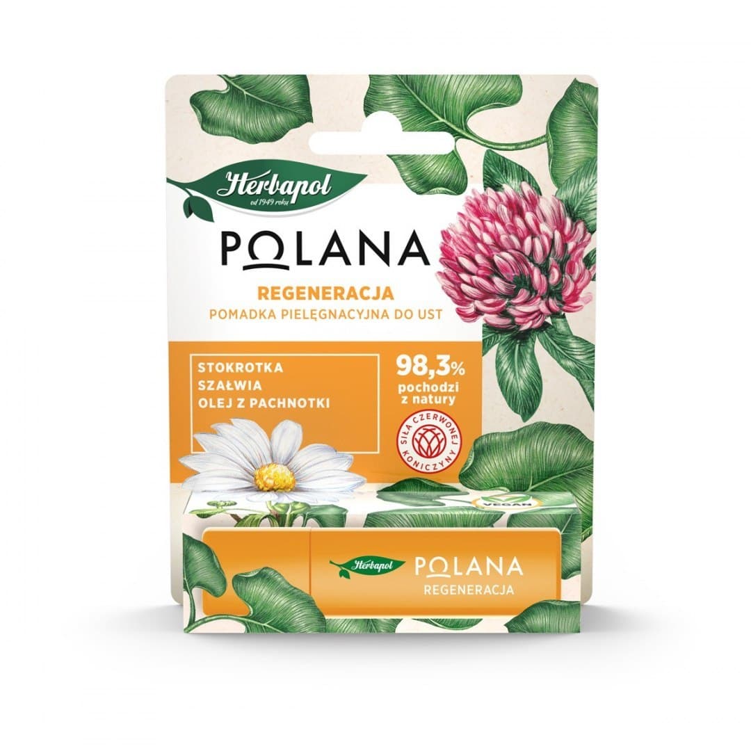 

Herbapol Polana Pomadka pielęgnacyjna do ust Regeneracja 4.7 g