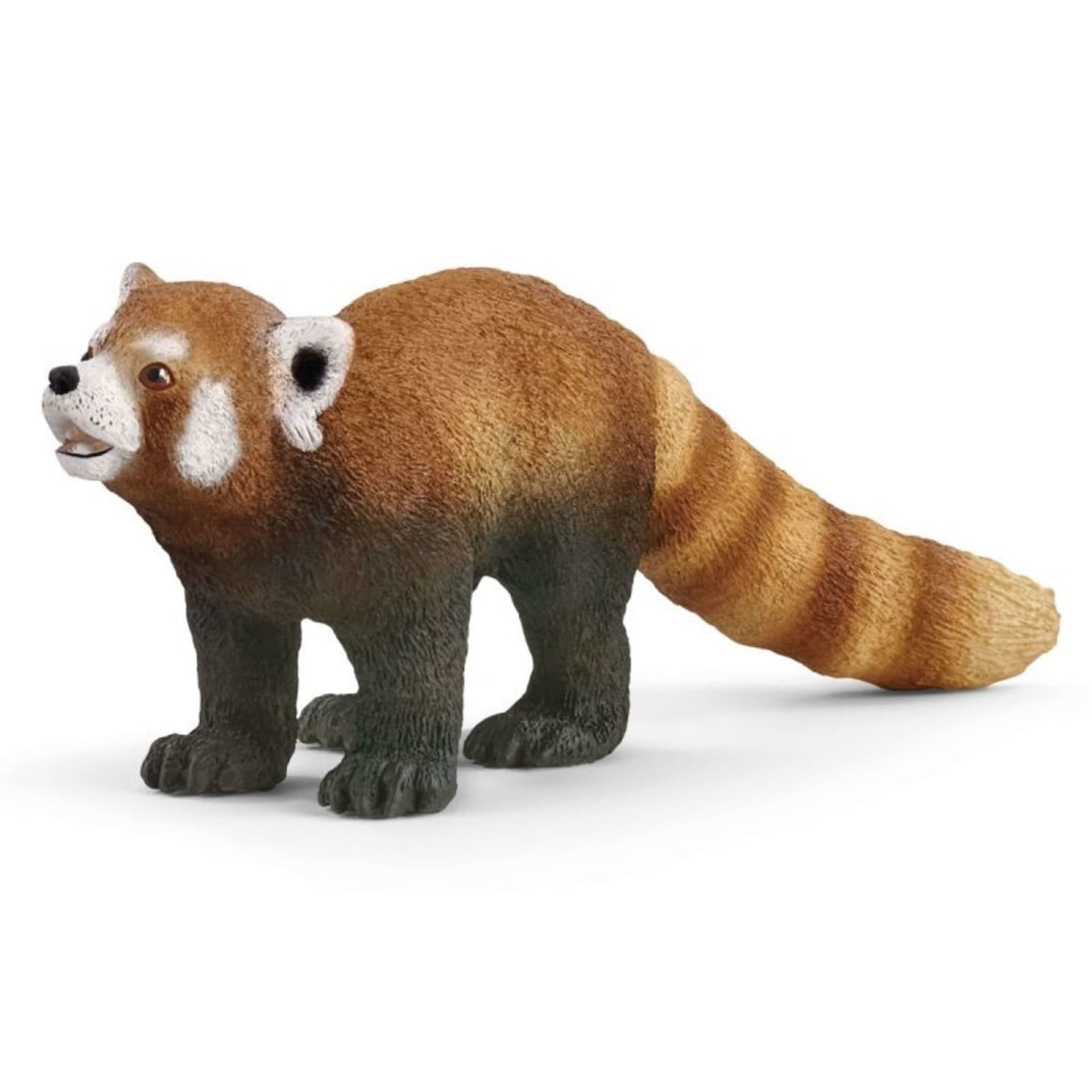 

Panda Ruda