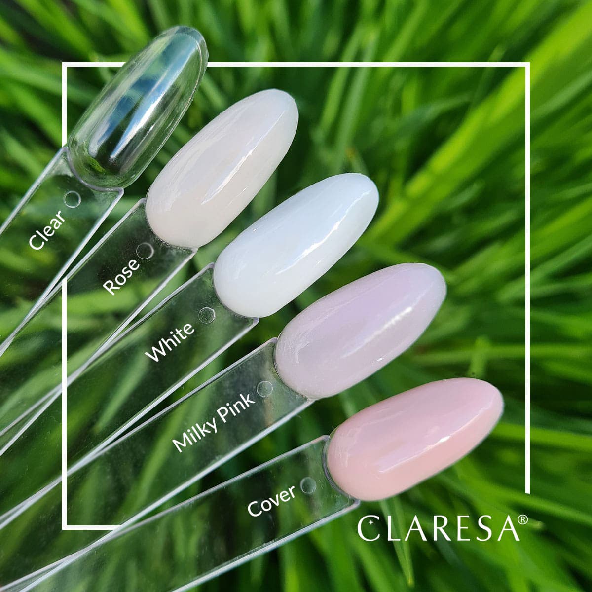 

CLARESA BUILDER GEL CLEAR -25 g