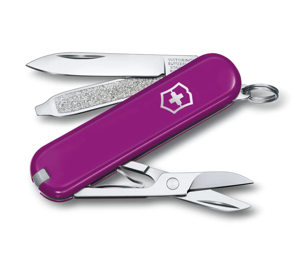 

Scyzoryk Victorinox Classic SD Colors 58mm Celidor "Tasty Grape"
