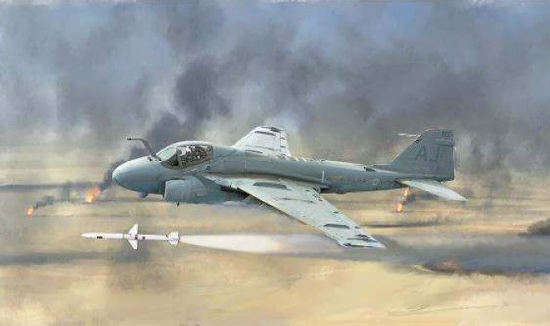 

A-6E Tram Intruder