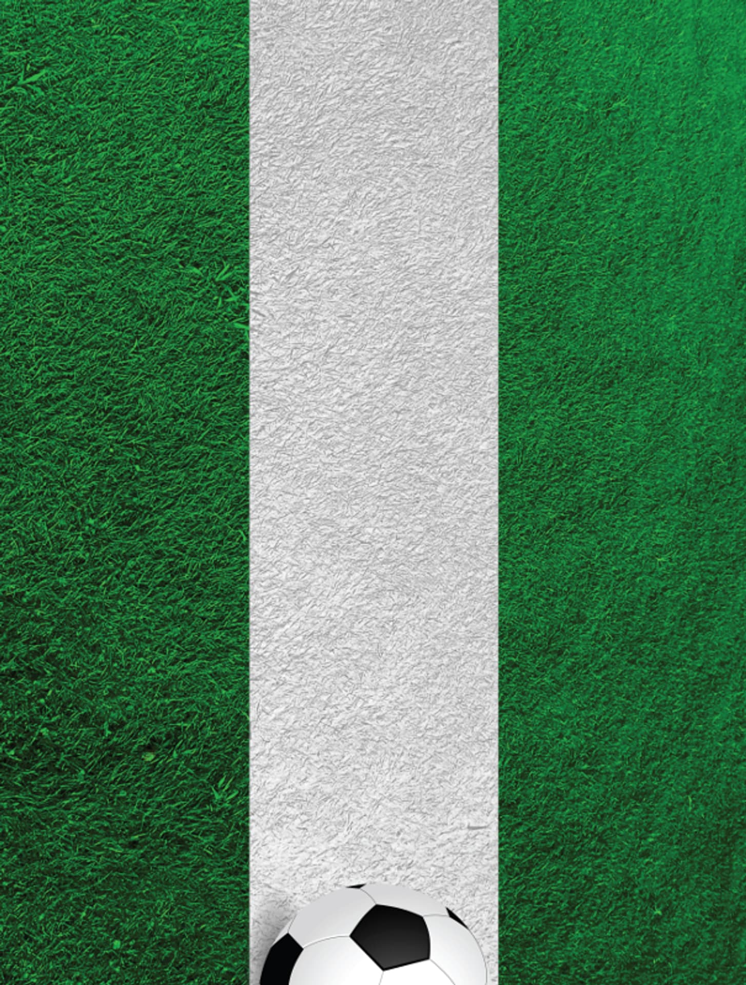 

Nexgen Skins - Zestaw skórek na obudowę z efektem 3D iPad 2/3/4 (Soccer Field 3D)